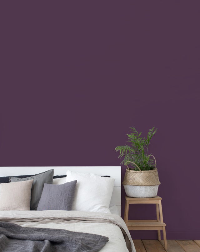 Pintura de interior Montó Monocapa Rehabit violeta mate 2,5L para paredes y techos, tiempo de secado 1h
