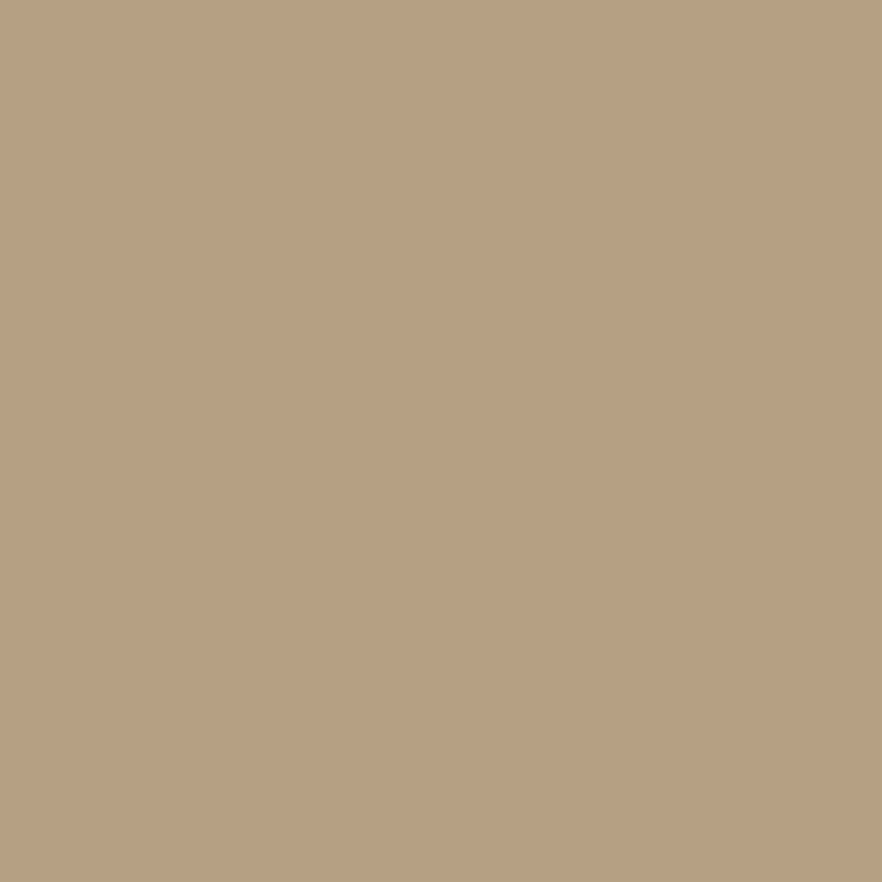 Pittura per interni lavabile LUXENS Opaca Beige Kenya 4 opaco 0.075 L - 2