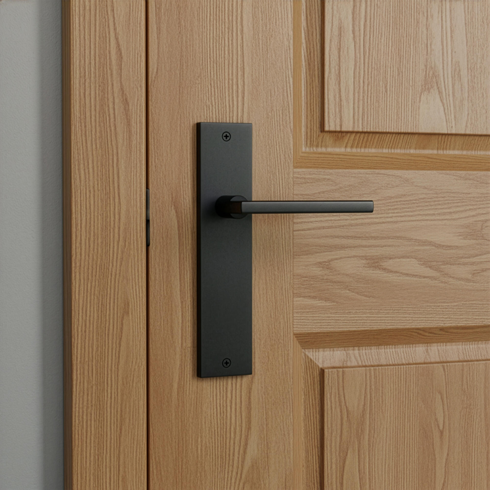 Manilla con placa para puerta New Goteborg en zamak negro 230x50mm - 4