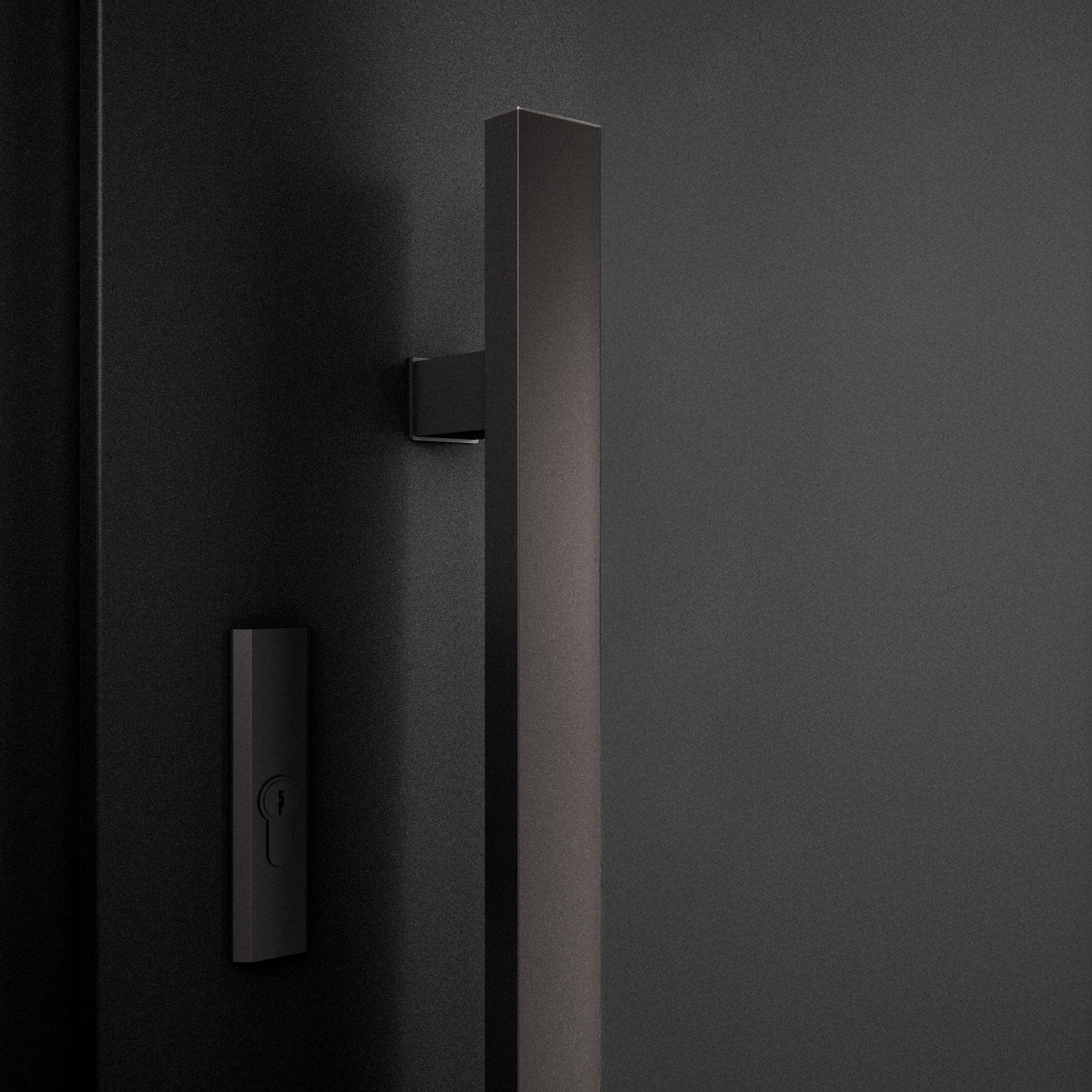 Drzwi zewnętrzne wejściowe 90 prawe Triton Modern Black WIŚNIOWSKI - 4