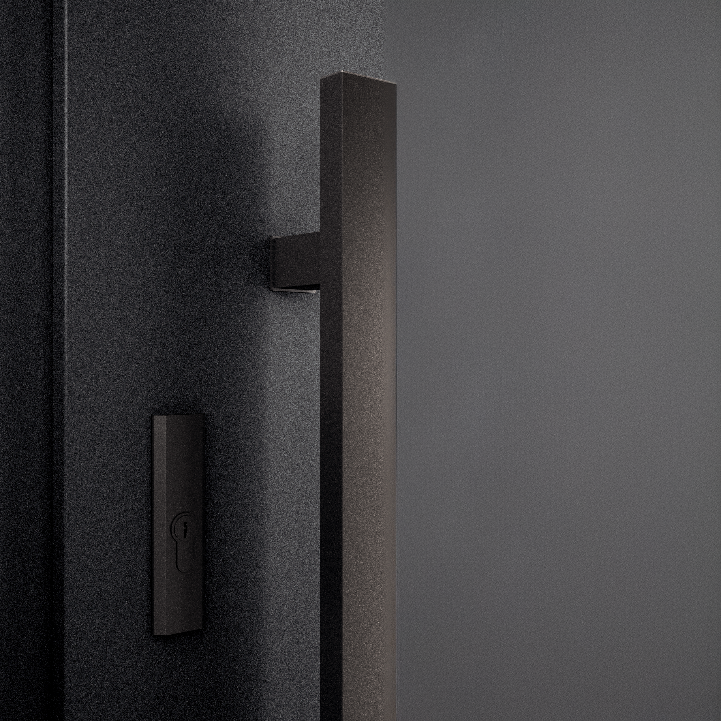 Drzwi zewnętrzne wejściowe 90 lewe Triton Modern Graphite WIŚNIOWSKI - 3