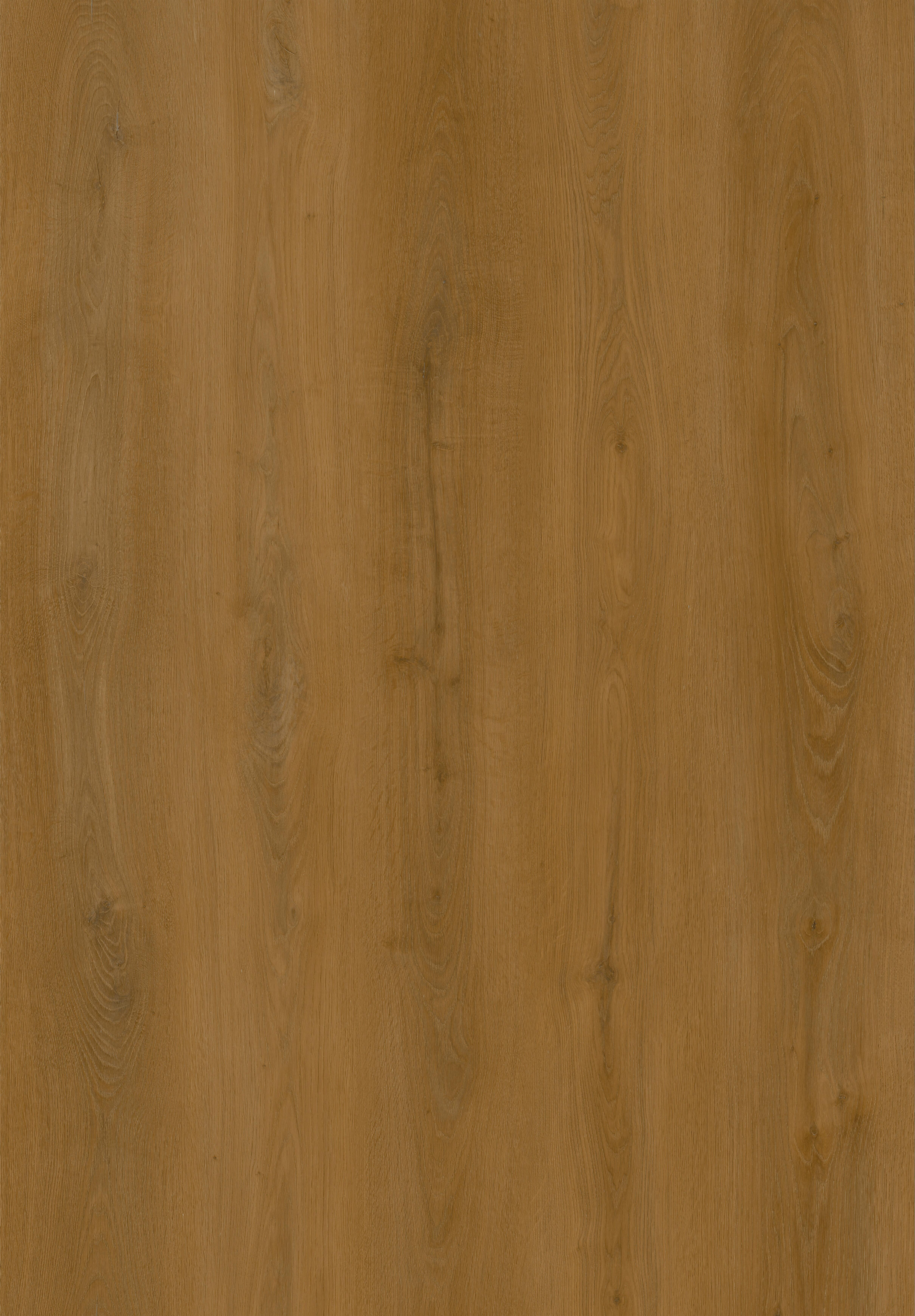 Pavimento vinílico de SPC click flutuante Westcoast Berlengas premium 9 mm com base NAT133 - 3