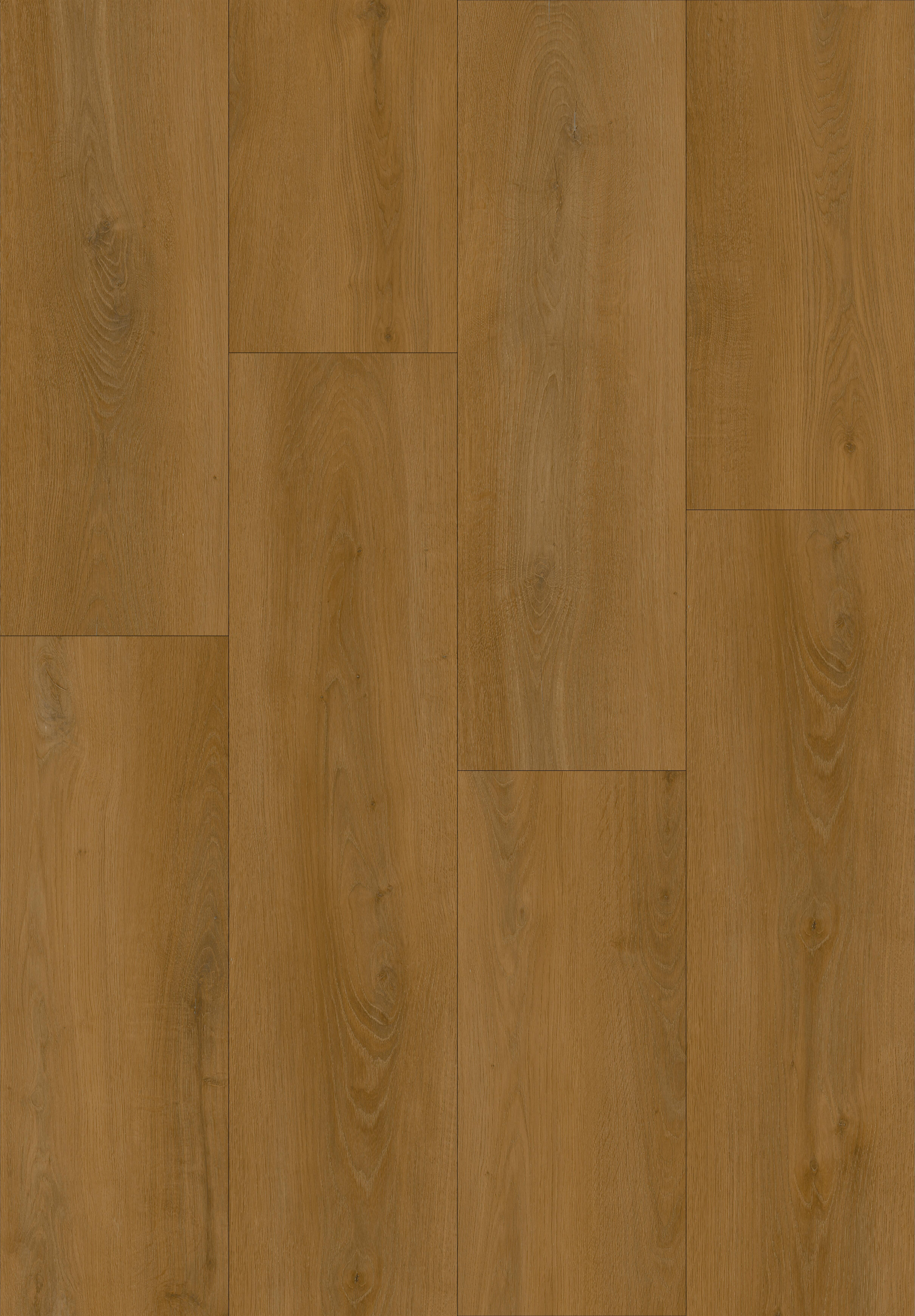 Pavimento vinílico de SPC click flutuante Westcoast Berlengas premium 9 mm com base NAT133 - 2