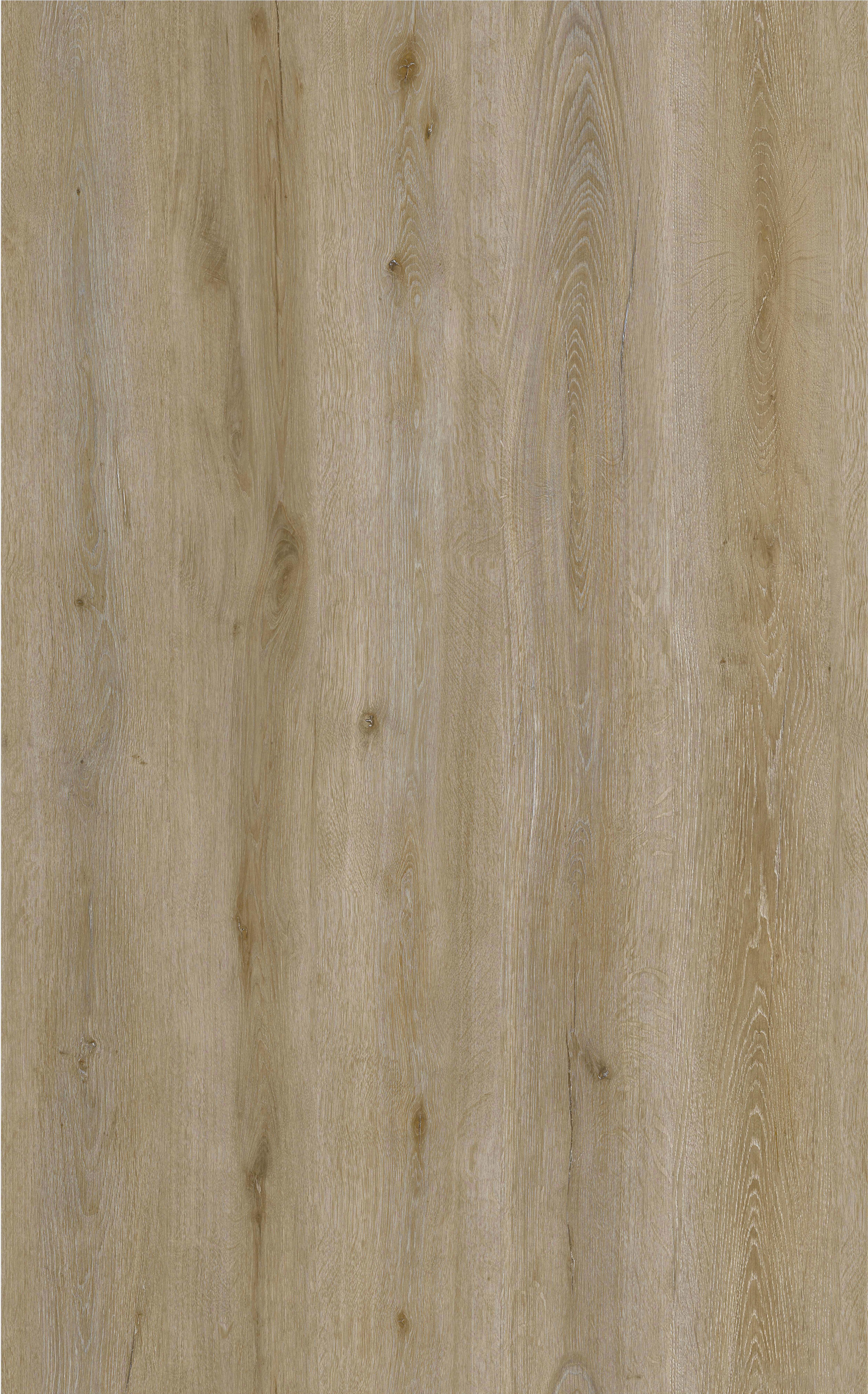 Pavimento vinílico SPC click flutuante Regina Painel Tech premium 8,5 mm com base - 2