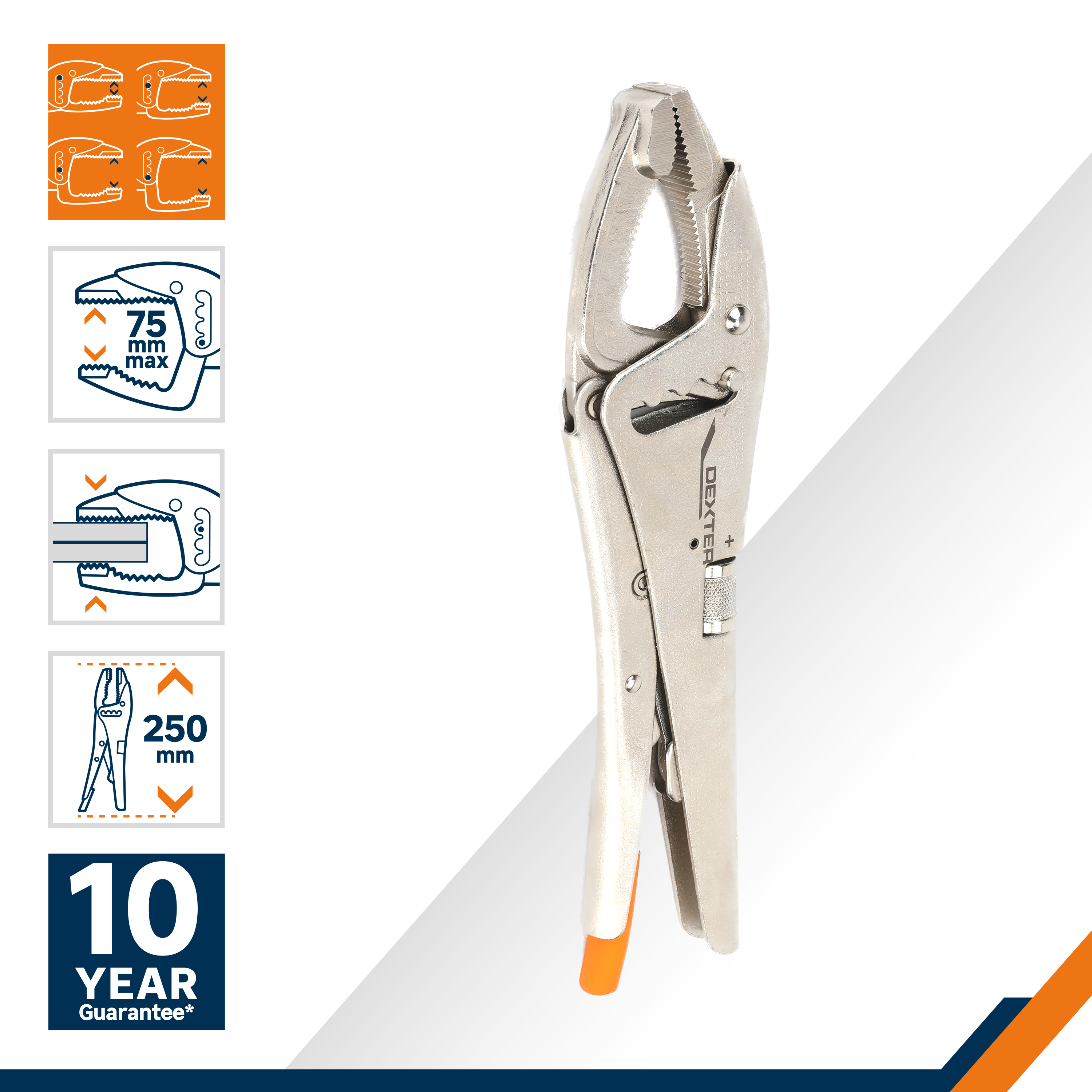 Pince étau DEXTER, L.250.0 mm - 2