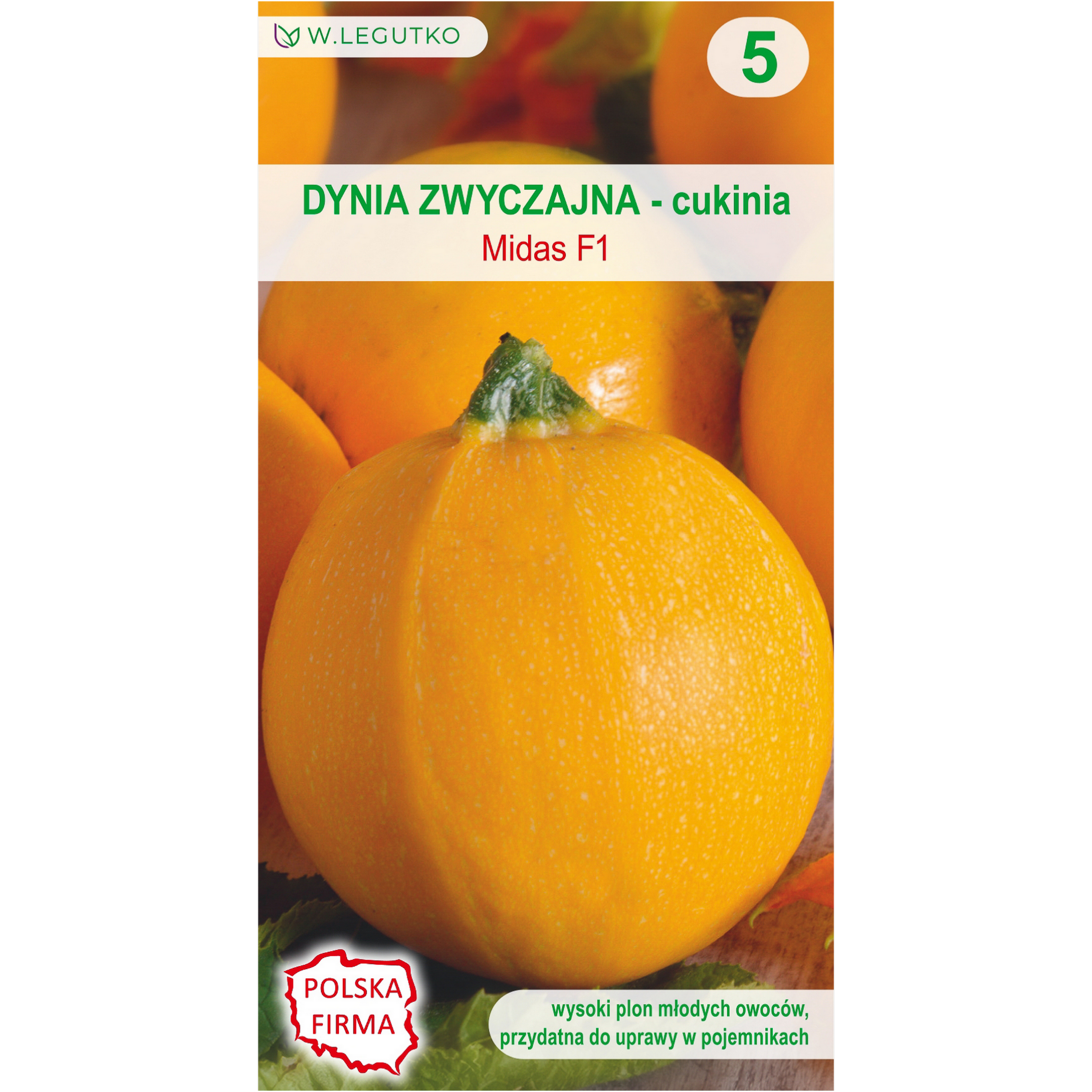 Dynia zwyczajna cukinia Midas F1 nasiona warzyw W.Legutko