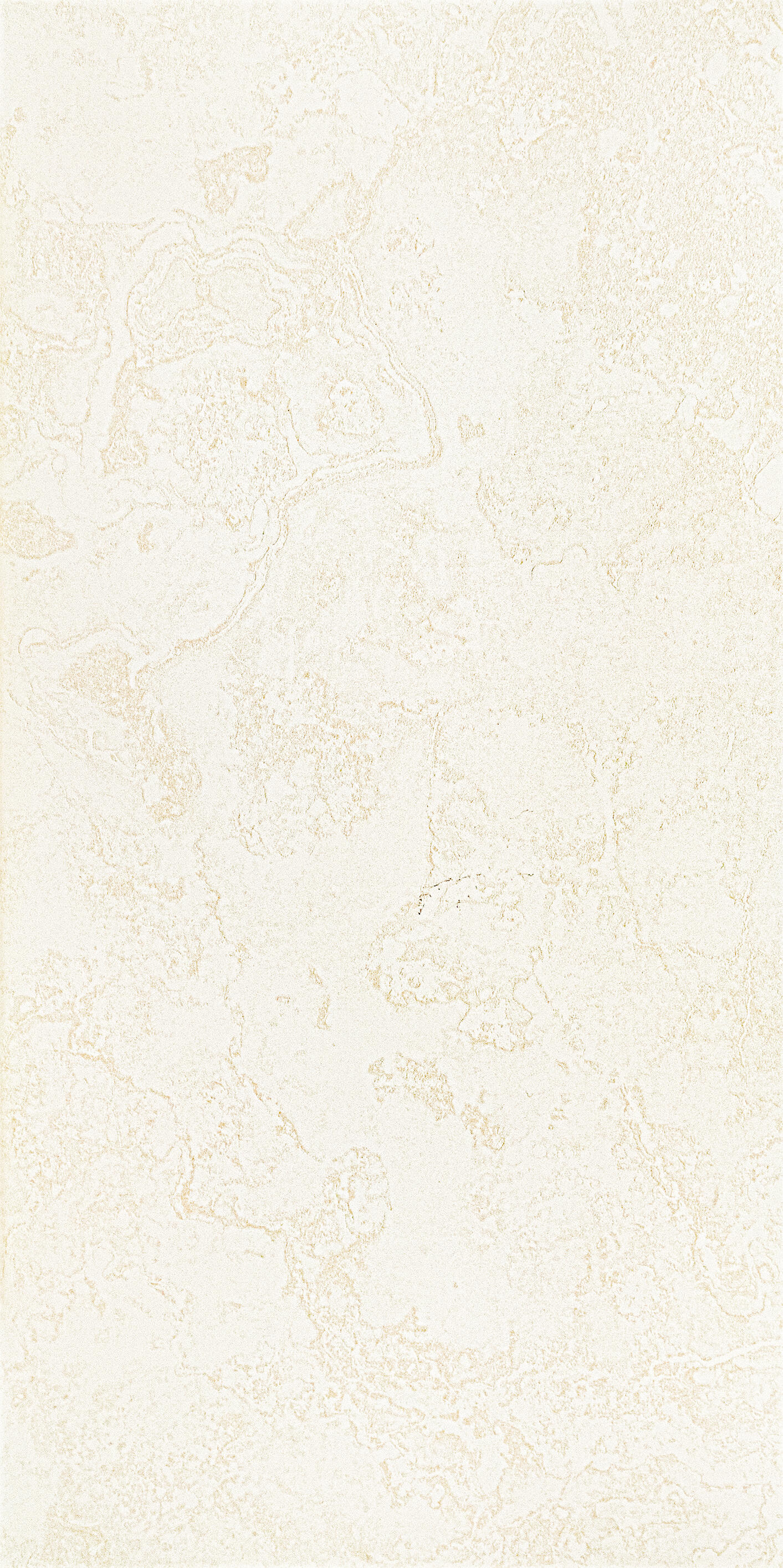 Gres polerowany Braid biały 59.8x119.8 1.43 m2 2 sztuki Arte