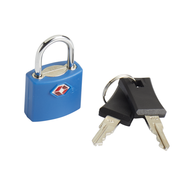 Cadenas TSA Leroy Merlin