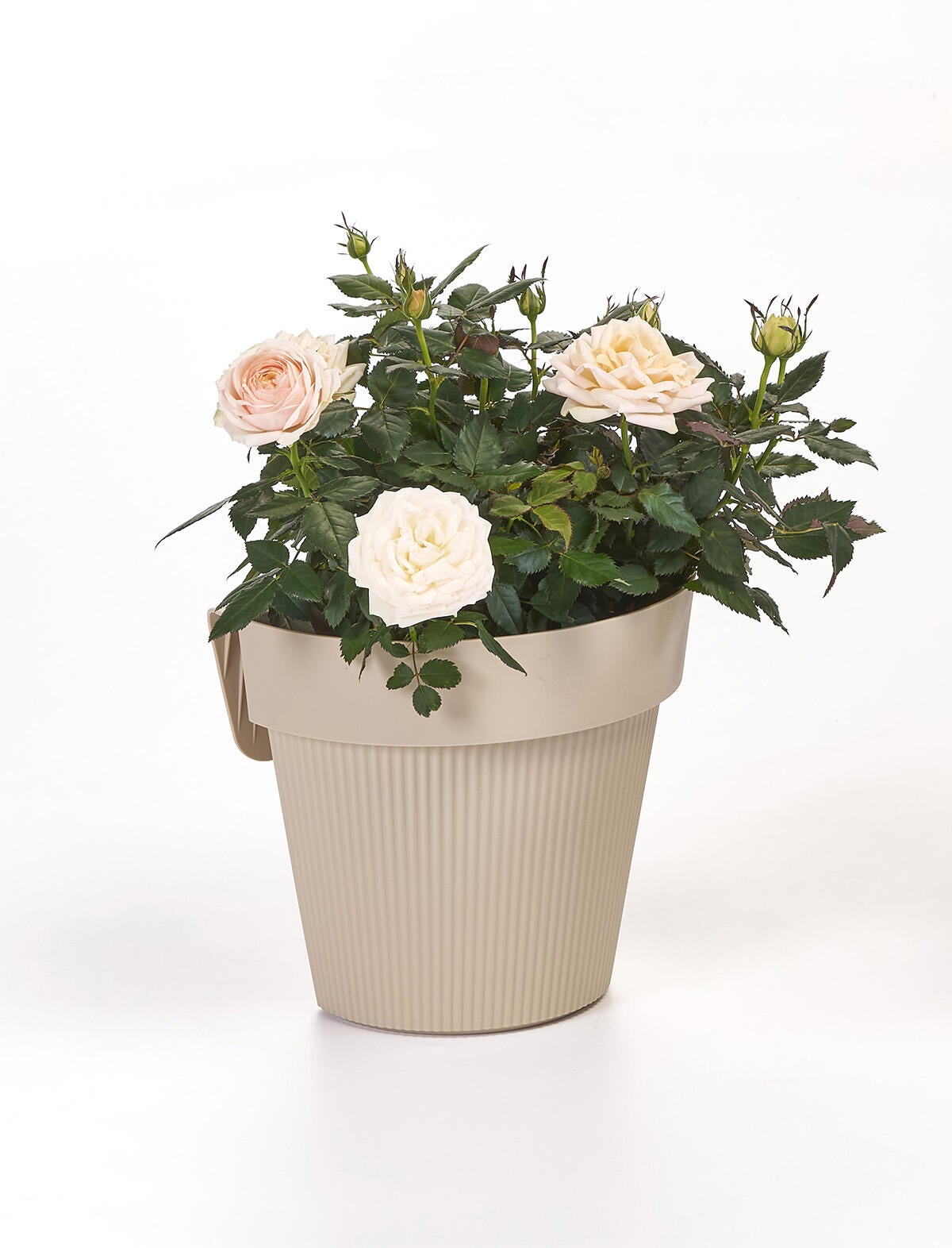 Vaso con supporto EURO3PLAST Rise Up in polipropilene beige H 23 x L 25 x L 25 cm - 3