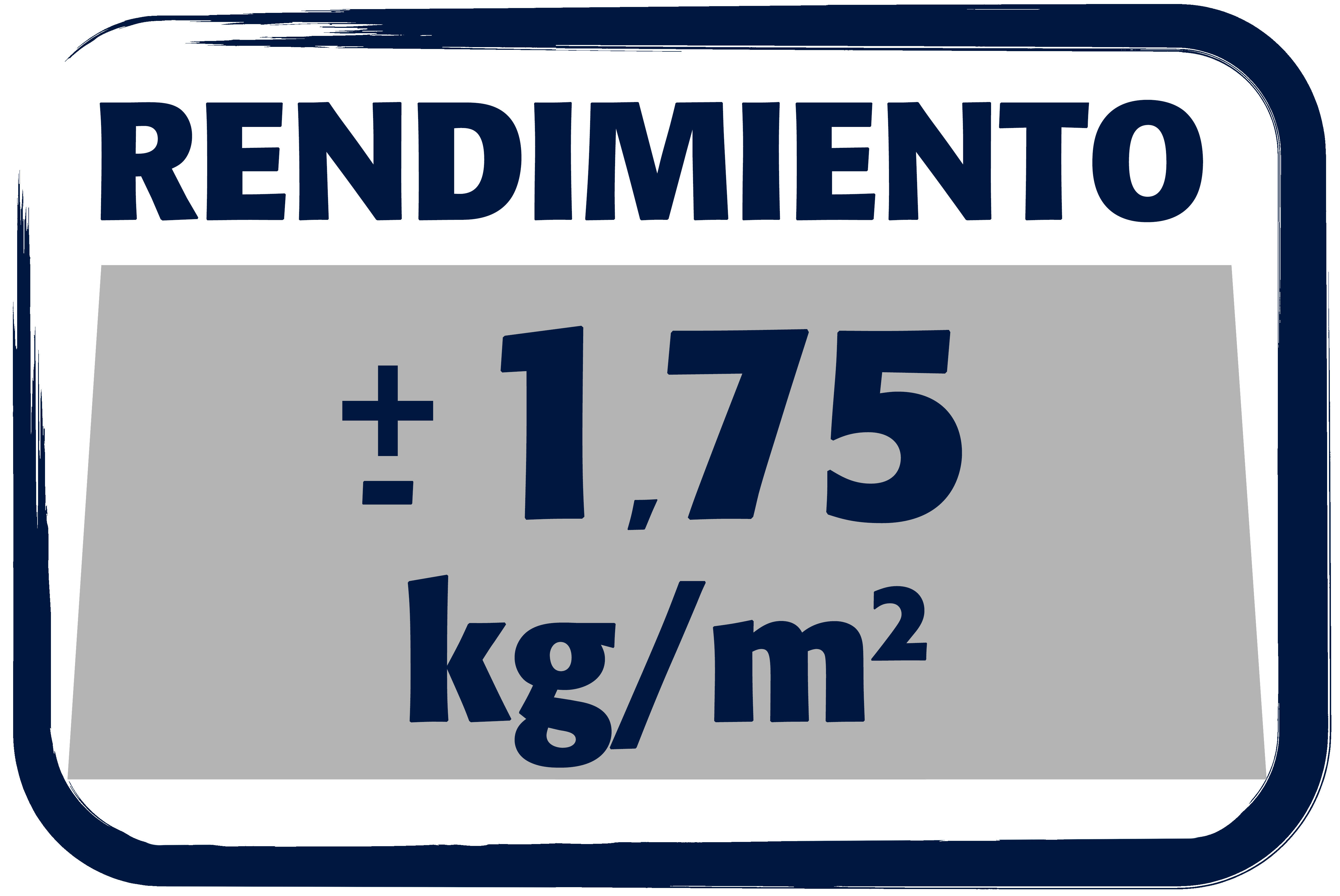 MASILLA EN PASTA AL USO RENOVACIÓN BEISSIER 20KG - 2