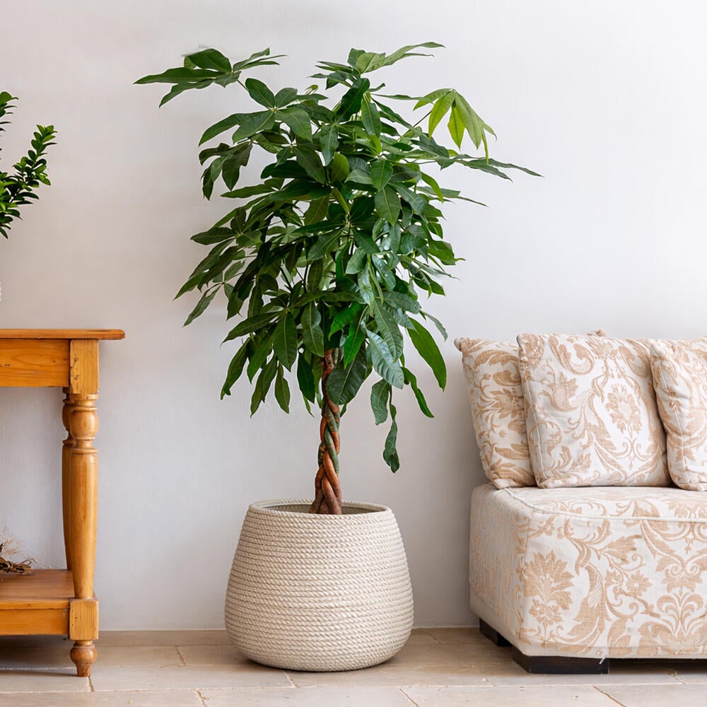 Vaso Bali in polietilene beige H 32 x ø 40 cm - 3