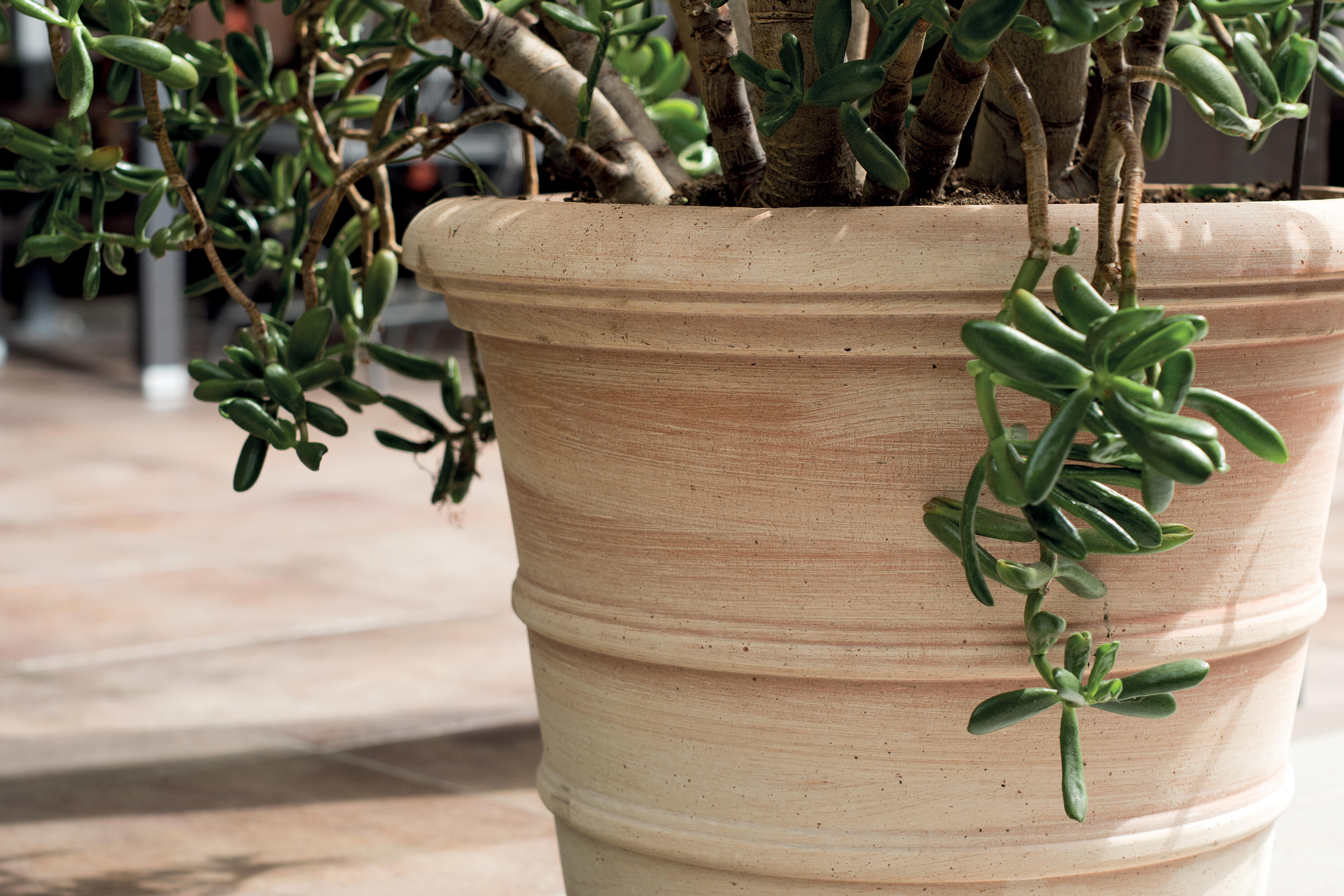 Donica Vaso Siena 37 cm bielona terakota Deroma - 2