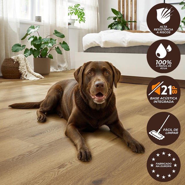 Pavimento vinílico SPC click flutuante Floornity PET FRIENDLY premium 4 + 1.3 mm com base
