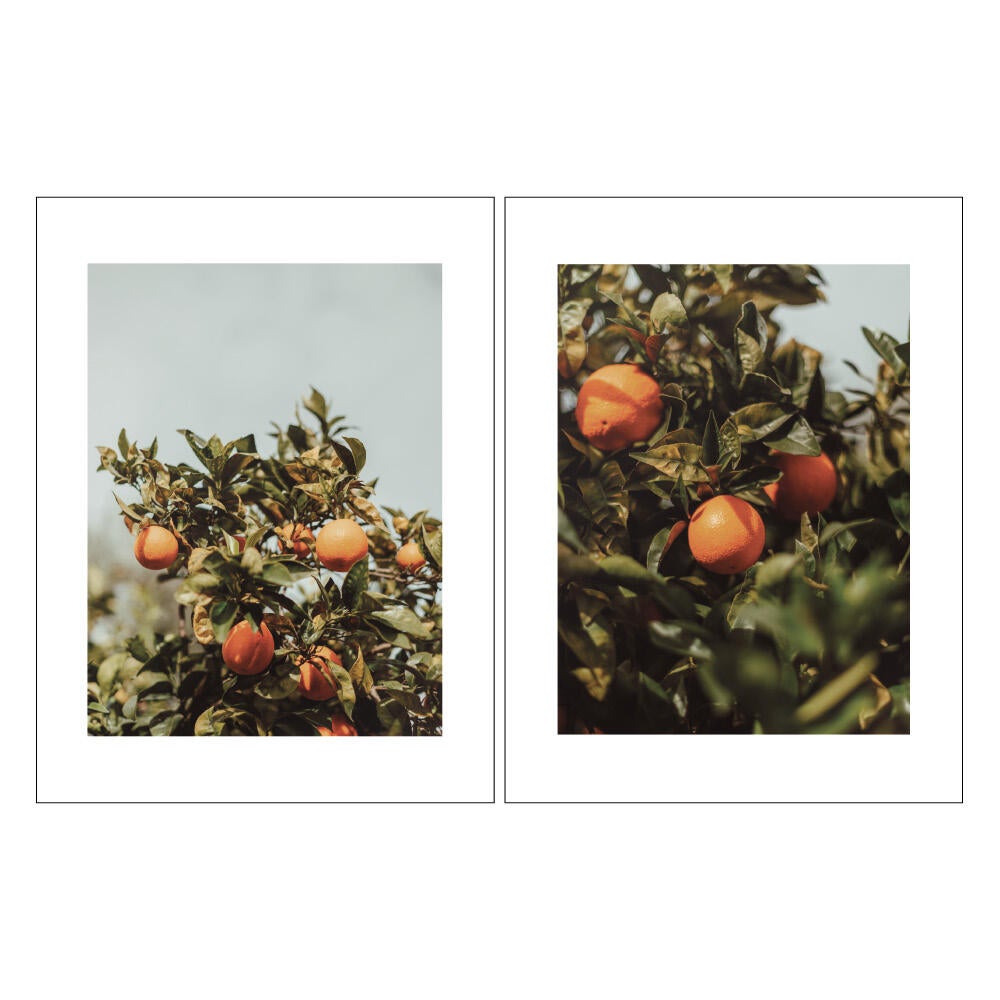 2 Láminas Naturaleza rectangular de 30 x 40 cm. Papel Valencia verdes y naranjas - 7