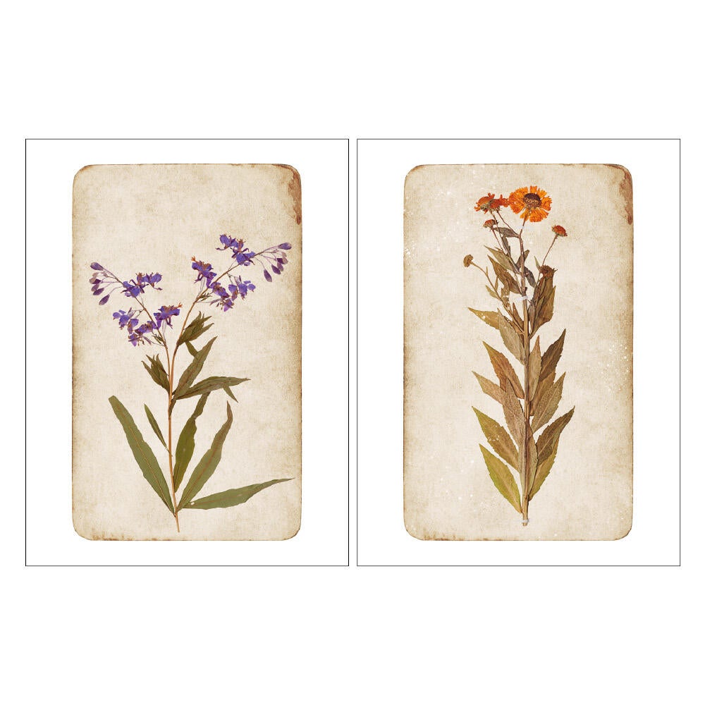 2 Láminas Botánico rectangular de 30 x 40 cm. Papel Flower End verdes, cremas, lilas y rojos - 7