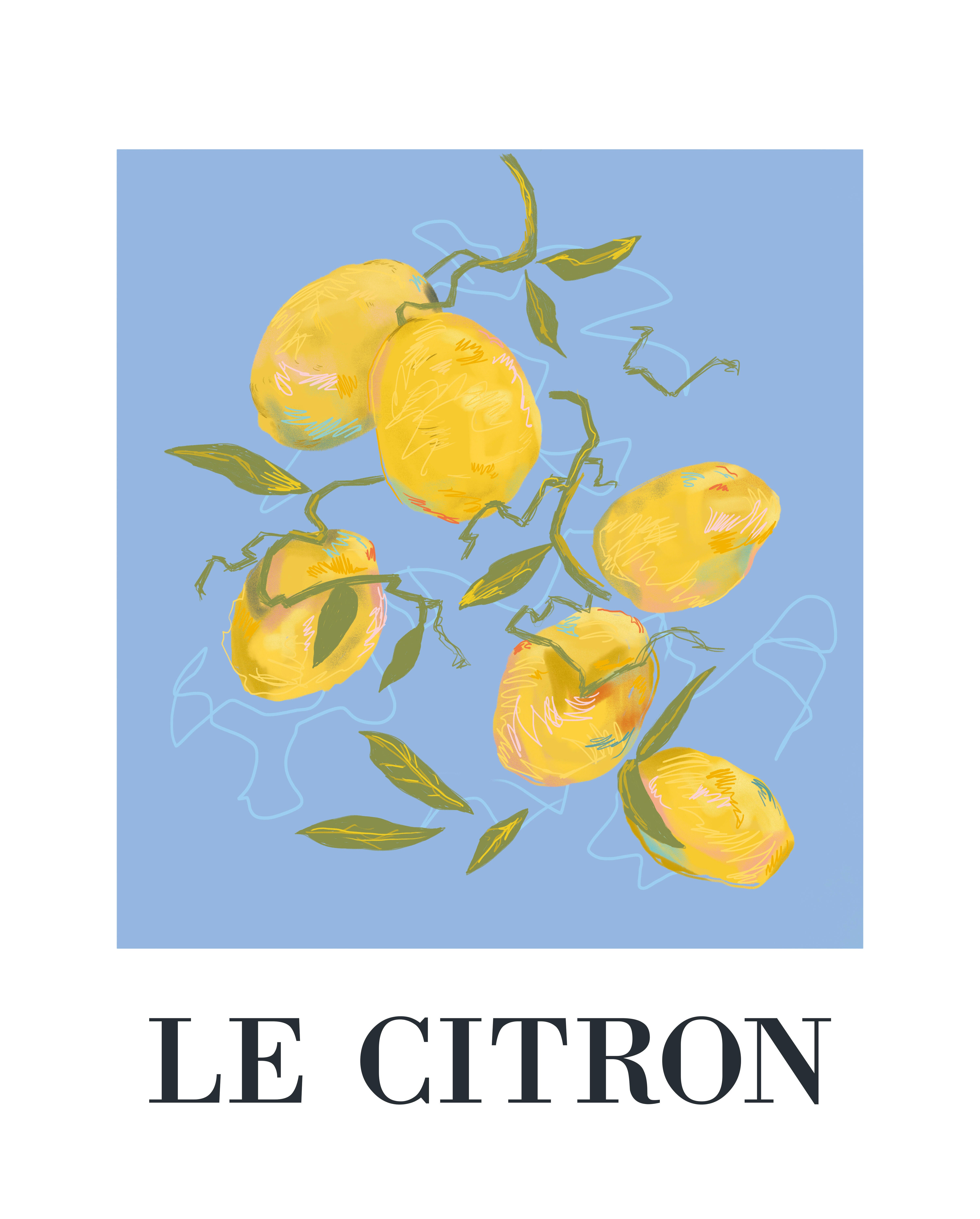 2 Láminas Botánico rectangular de 30 x 40 cm. Papel Fruits Mediterranees amarillo rosa azul y naranja - 2