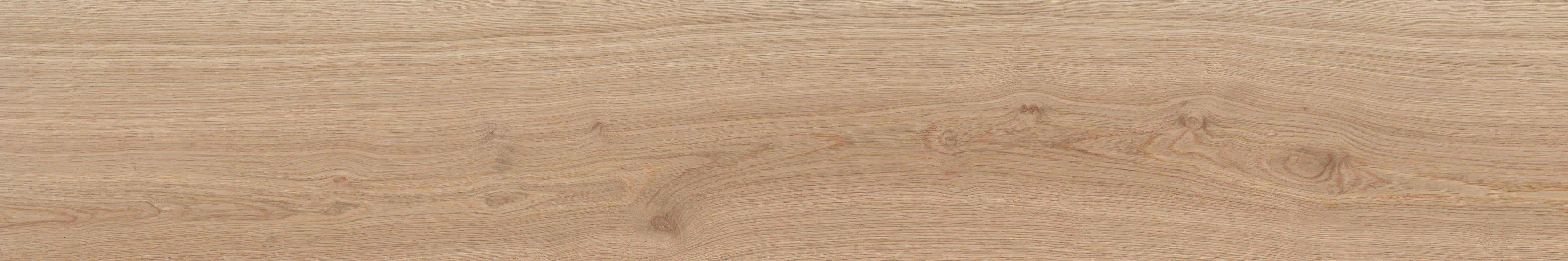 SUELO PORCELANICO 20X120CM ALAMO ROBLE - 2
