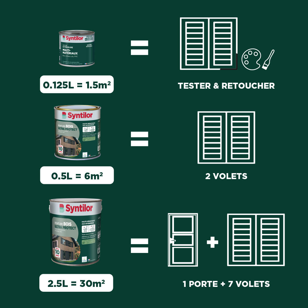 Peinture extérieure bois Ultra protect SYNTILOR blanc satiné 5L - 3