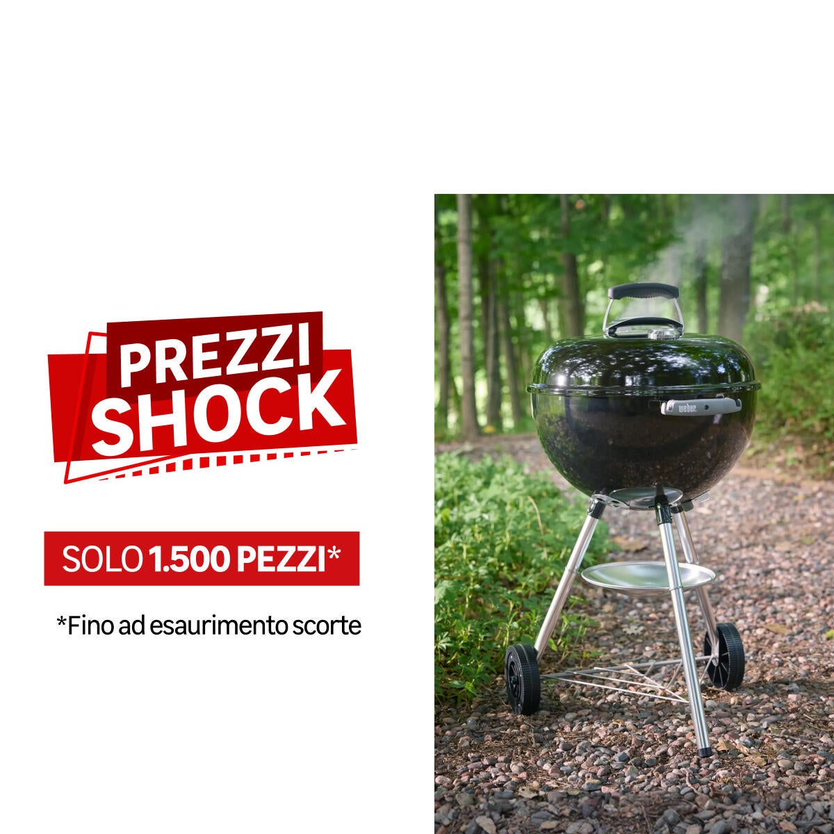 Barbecue a carbonella BAR-B-KETTLE WEBER ø 47 cm - 6