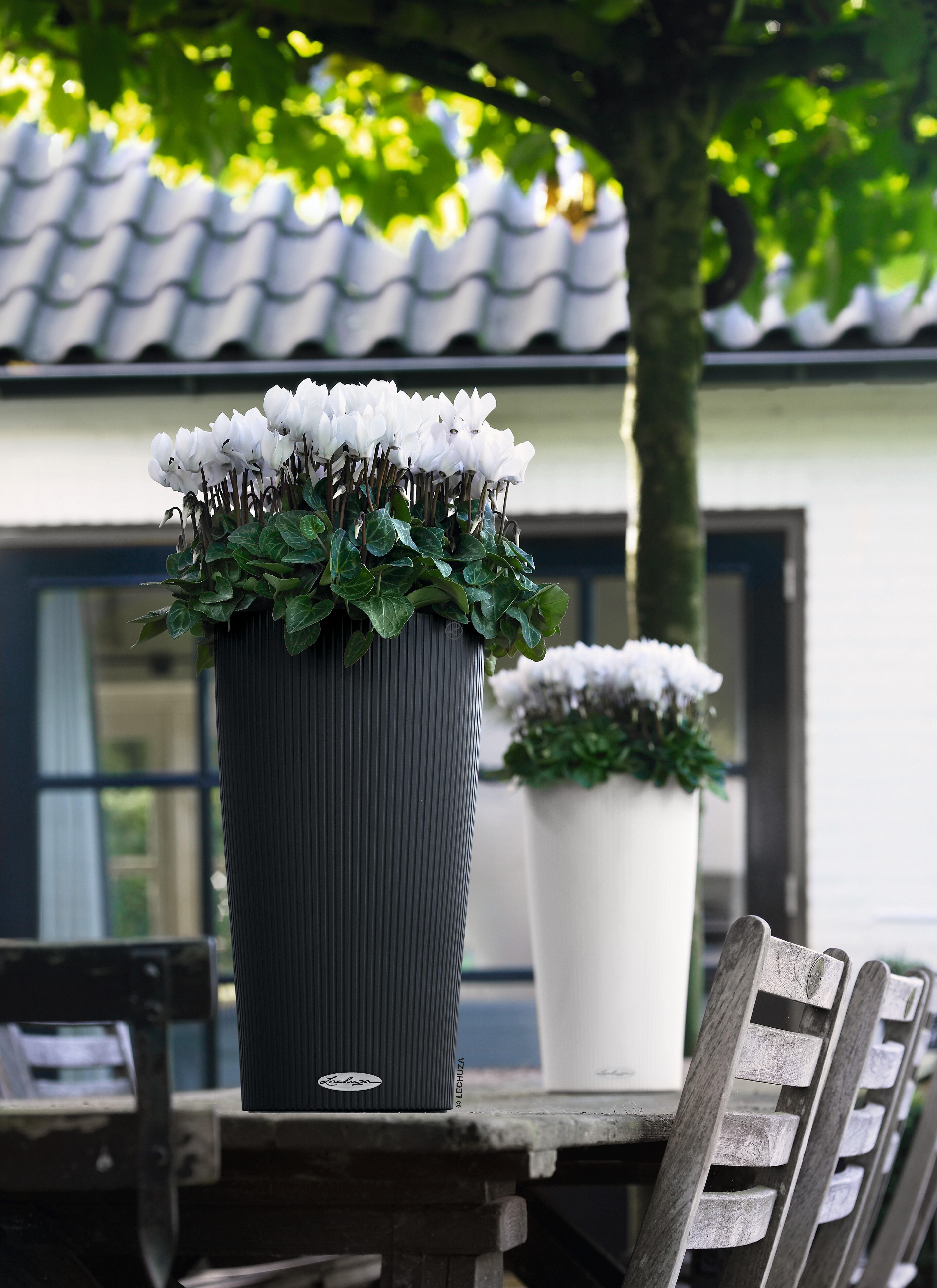 Fioriera autoirrigante Color LECHUZA in polipropilene grigio H 19 x L 80 x P 19 cm - 2