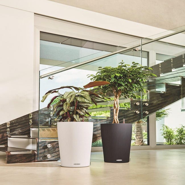 Vaso Fioriera Rettangolare Bianco - Resistente UV, 19x56x19,5 Cm, Per Esterno E Interno