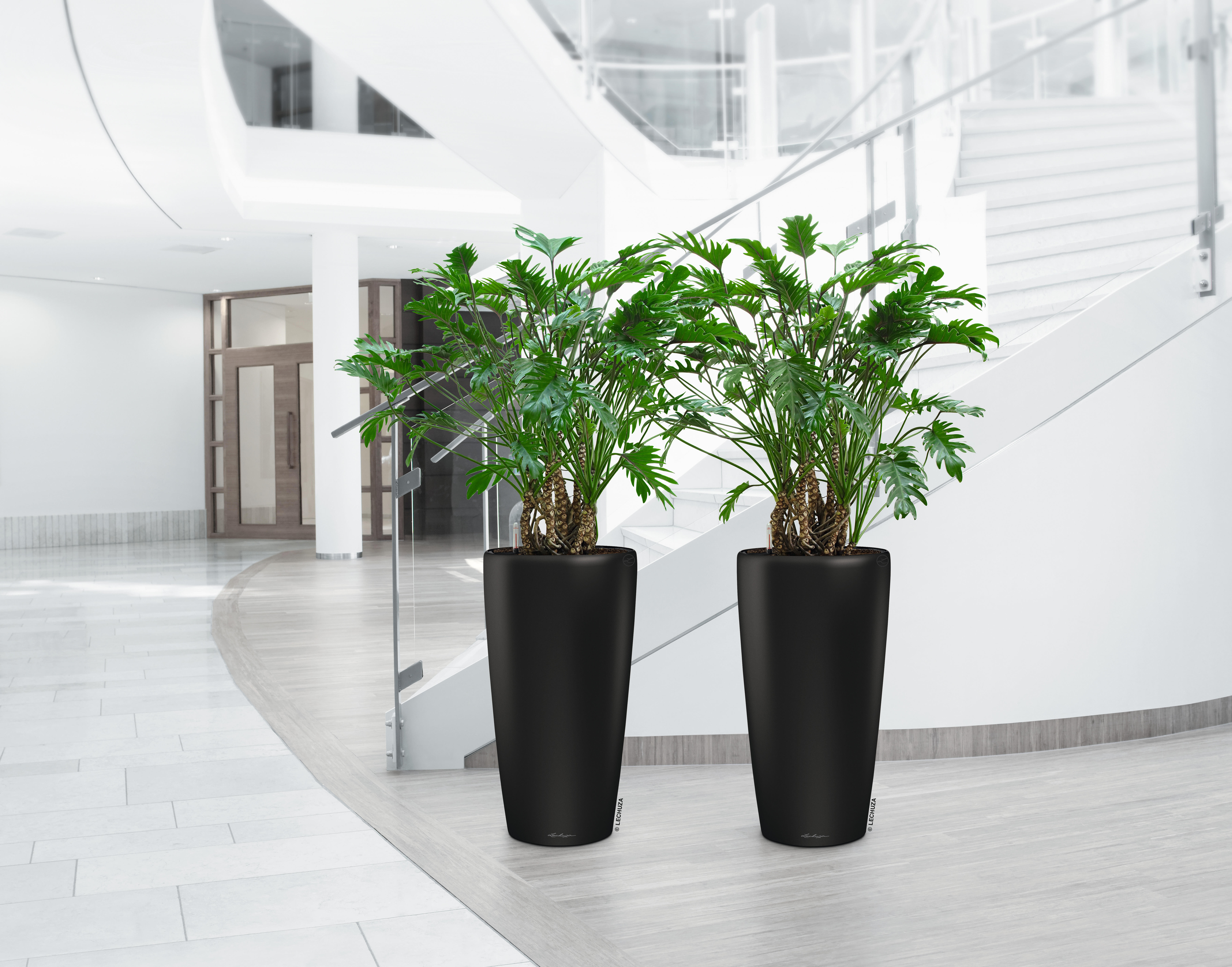 Vaso autoirrigante Rondo Premium LECHUZA in polipropilene nero H 56 x ø 32 cm - 2