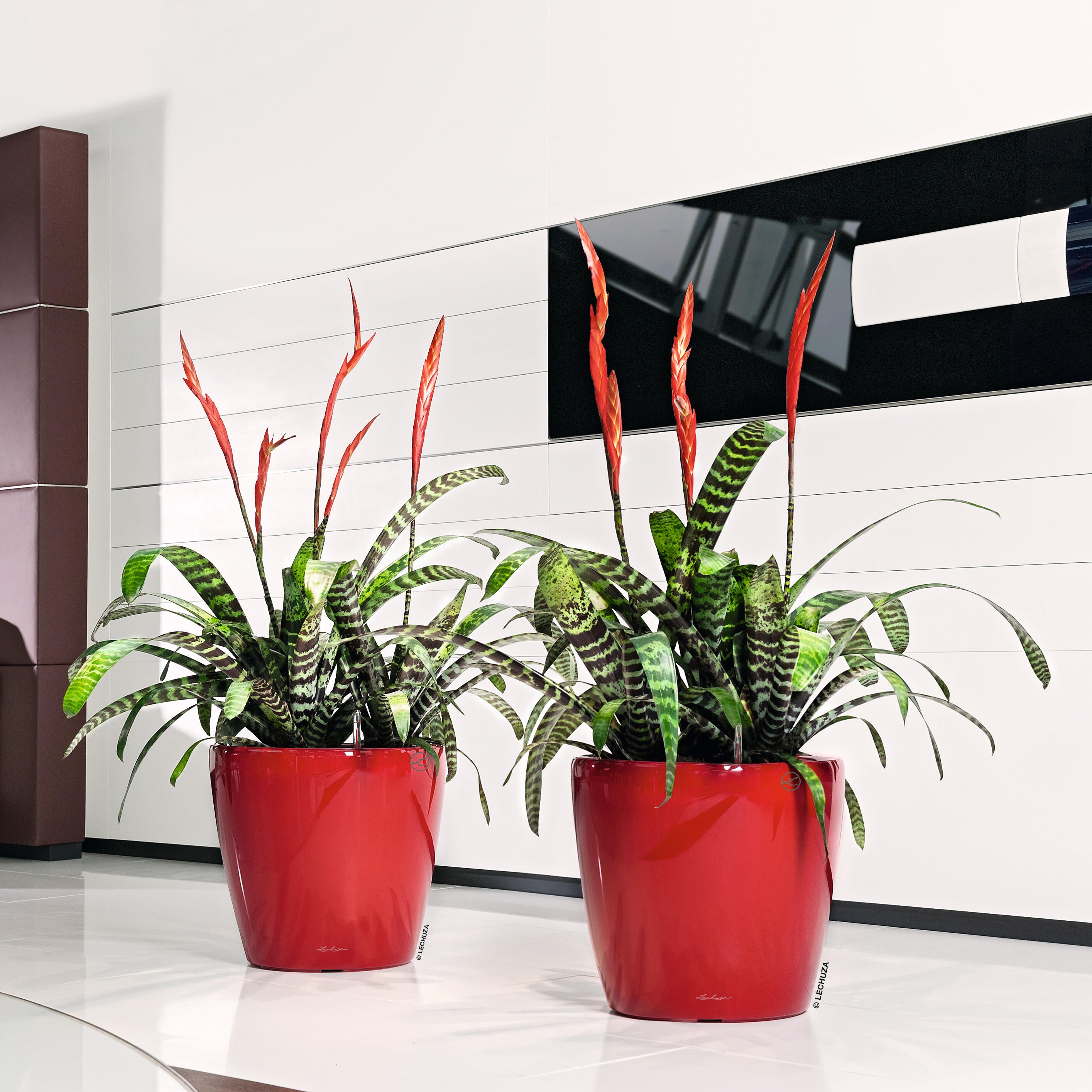 Vaso autoirrigante Classico Premium LECHUZA in polipropilene rosso H 40 x ø 43 cm - 2