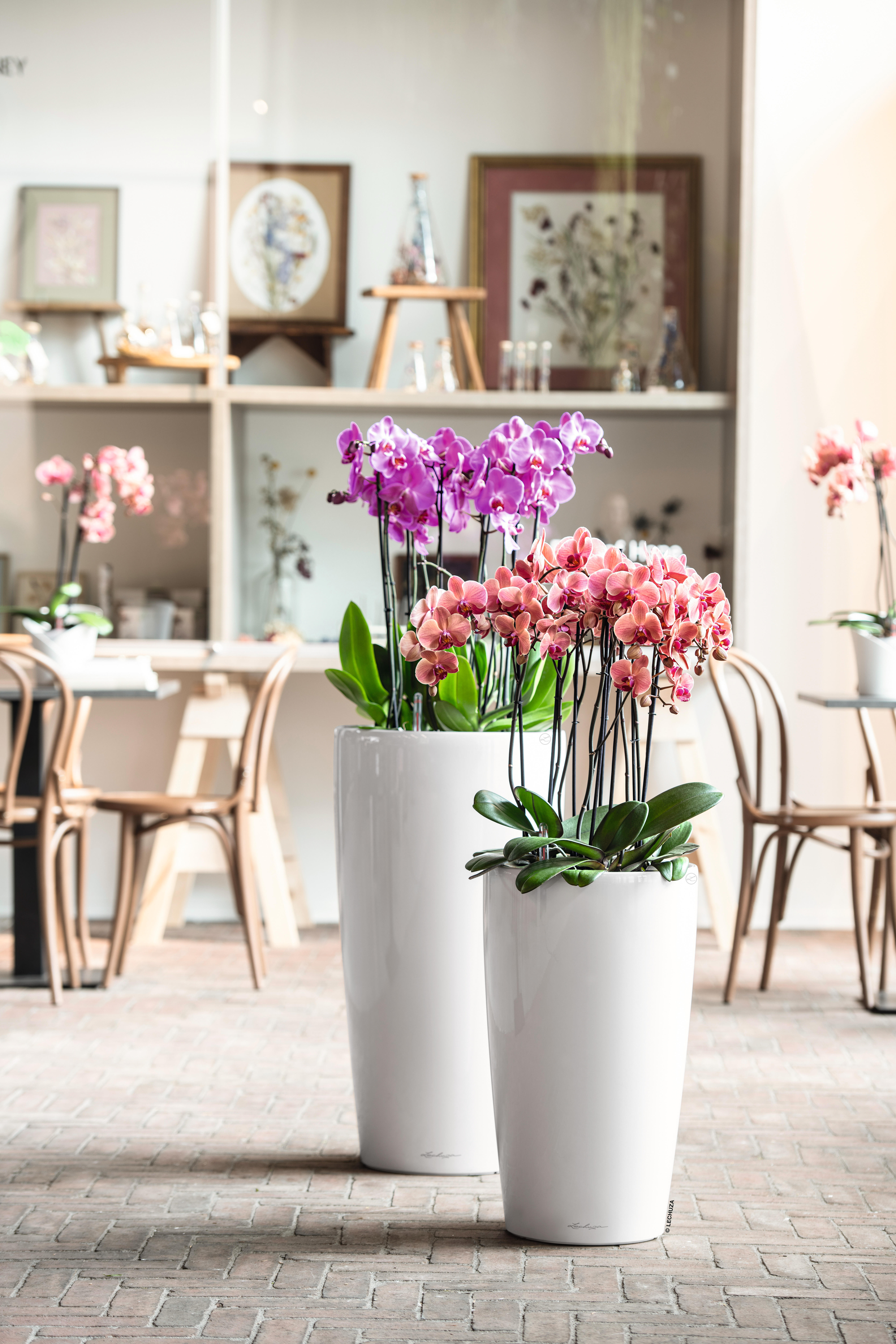 Vaso autoirrigante Rondo Premium LECHUZA in polipropilene bianco H 75 x ø 40 cm - 2