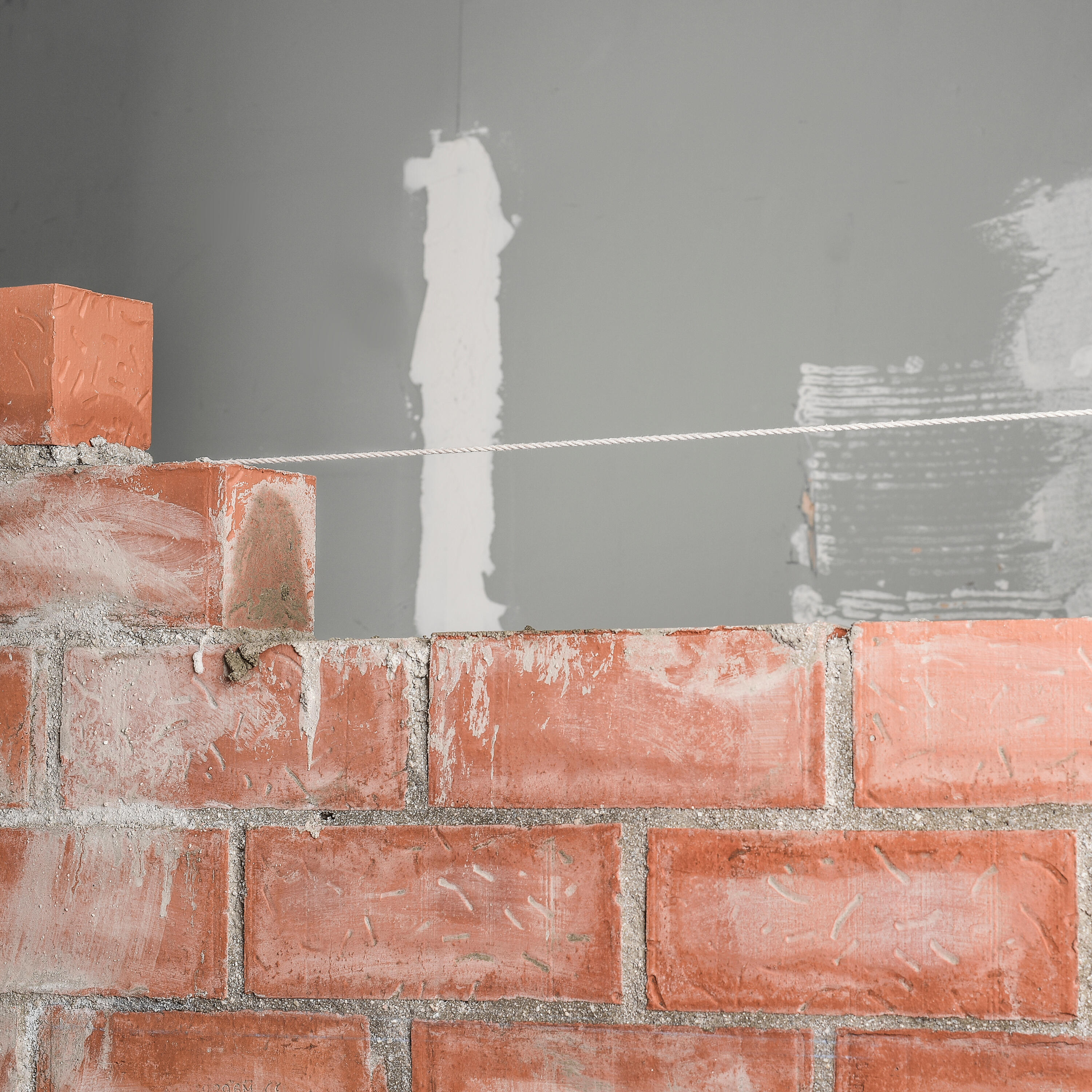 Cordeau de traçage en coton DEXTER, L.50 m - 9