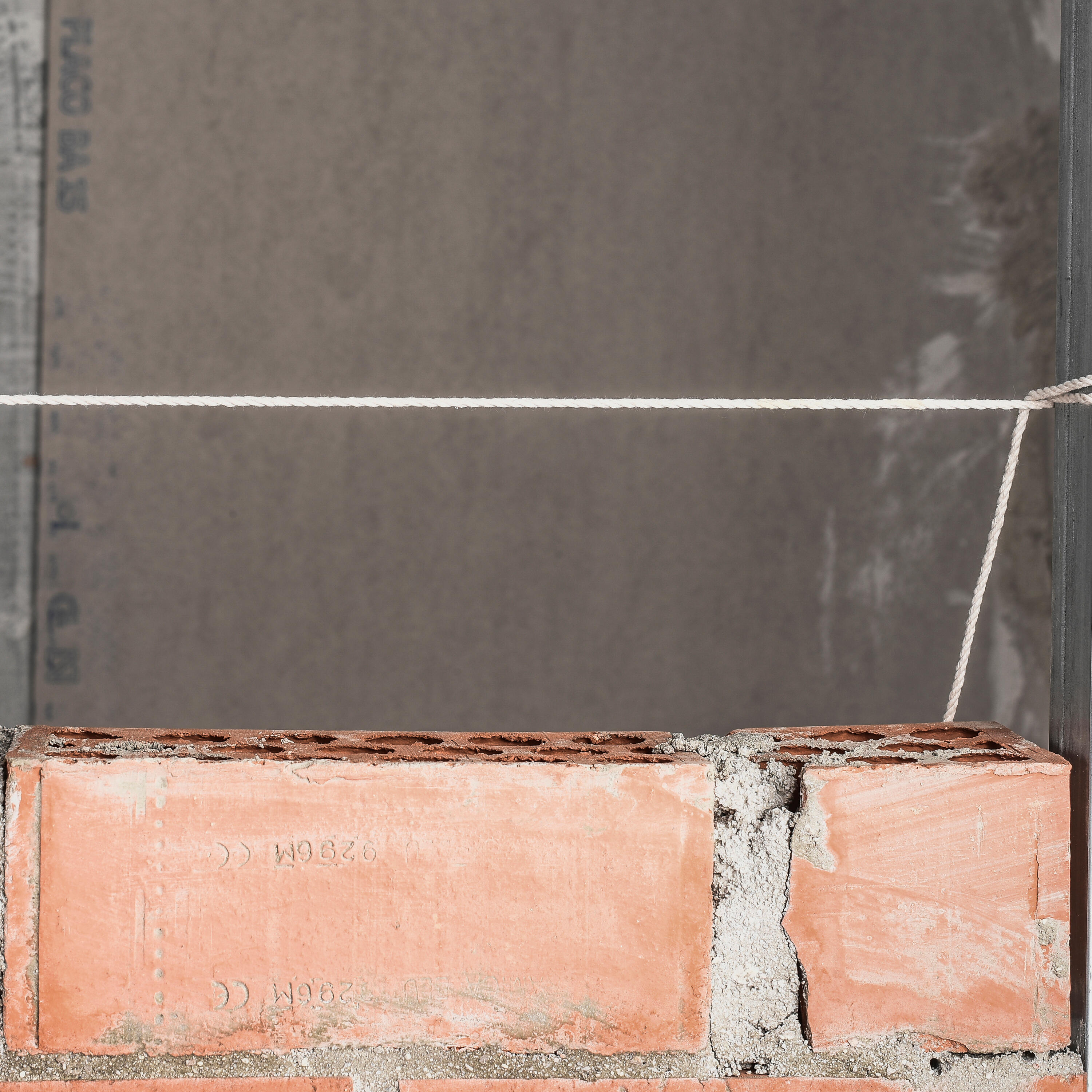 Cordeau de traçage en coton DEXTER, L.50 m - 5