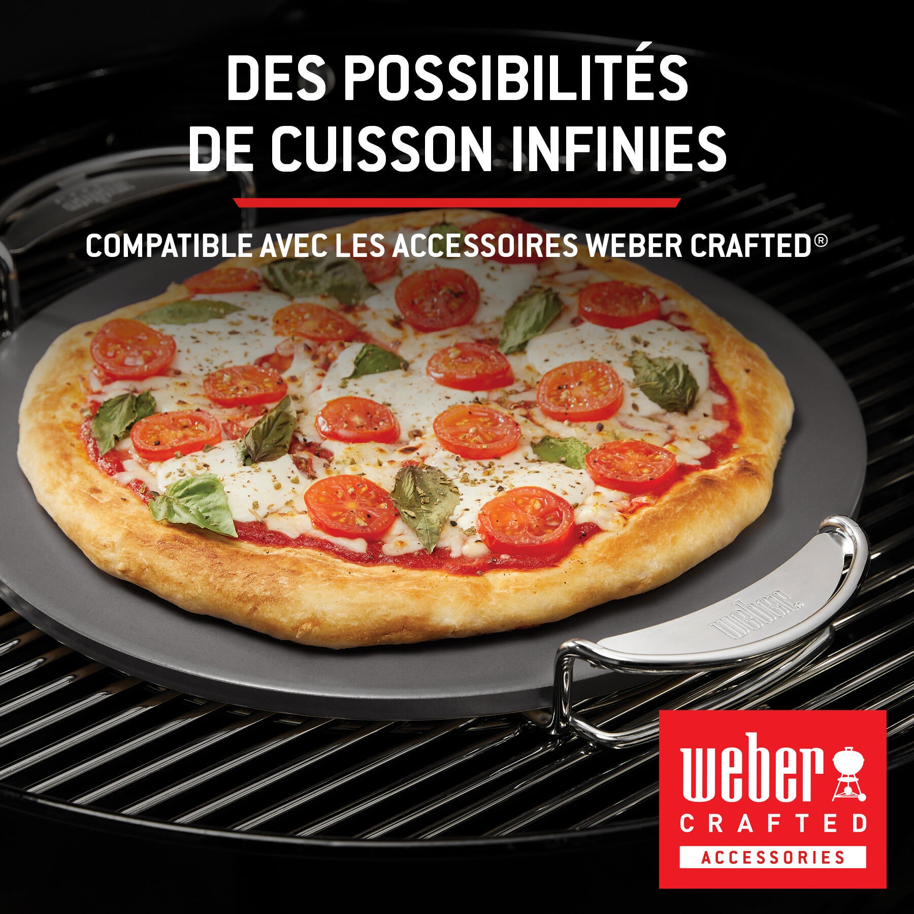 Barbecue au charbon de bois WEBER Master-touch premium E-5770, noir - 5