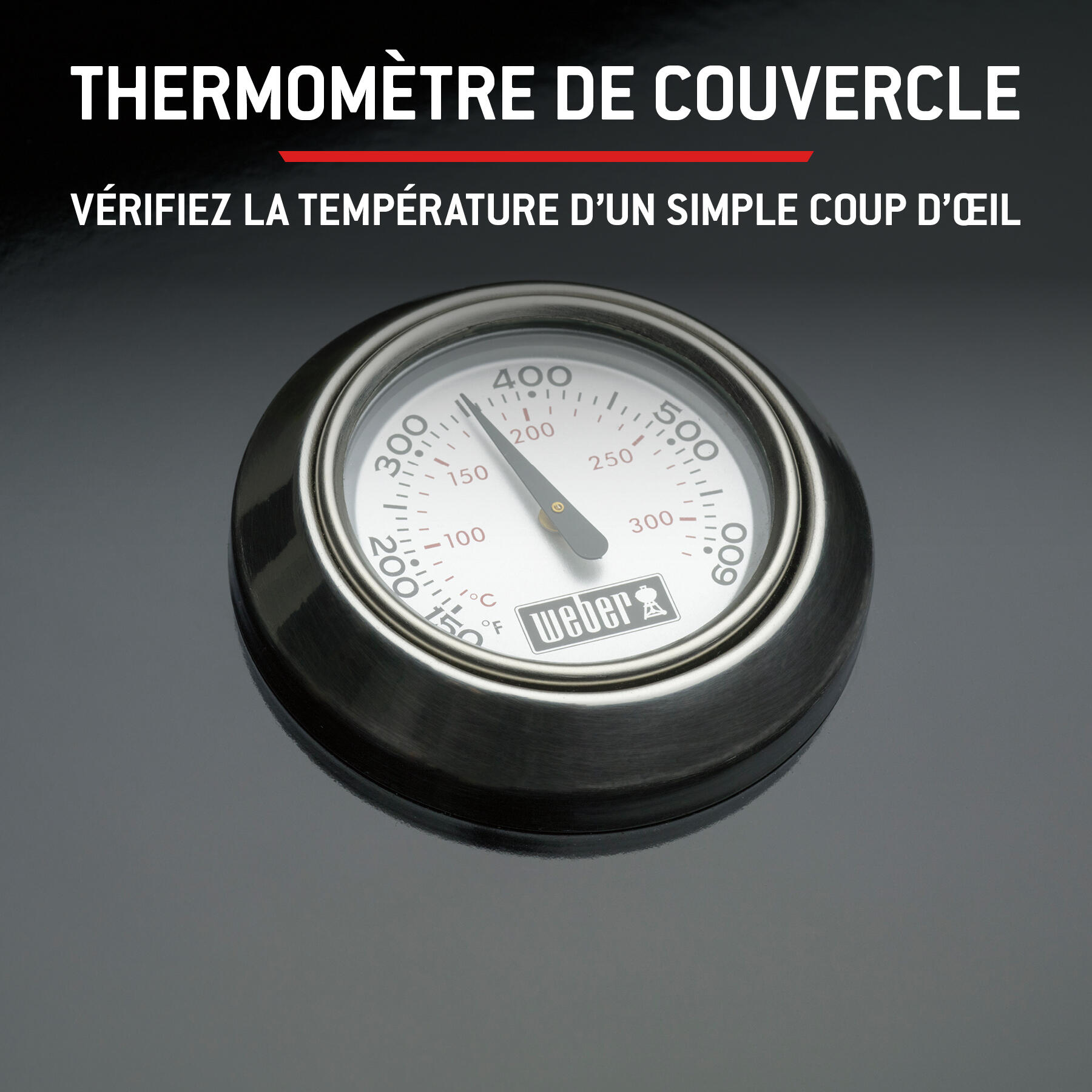 Barbecue au charbon de bois WEBER Master-touch premium E-5770, noir - 9