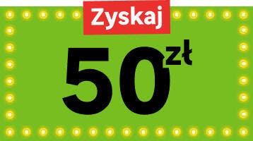 FARBY i ŚRODKI DO DREWNA