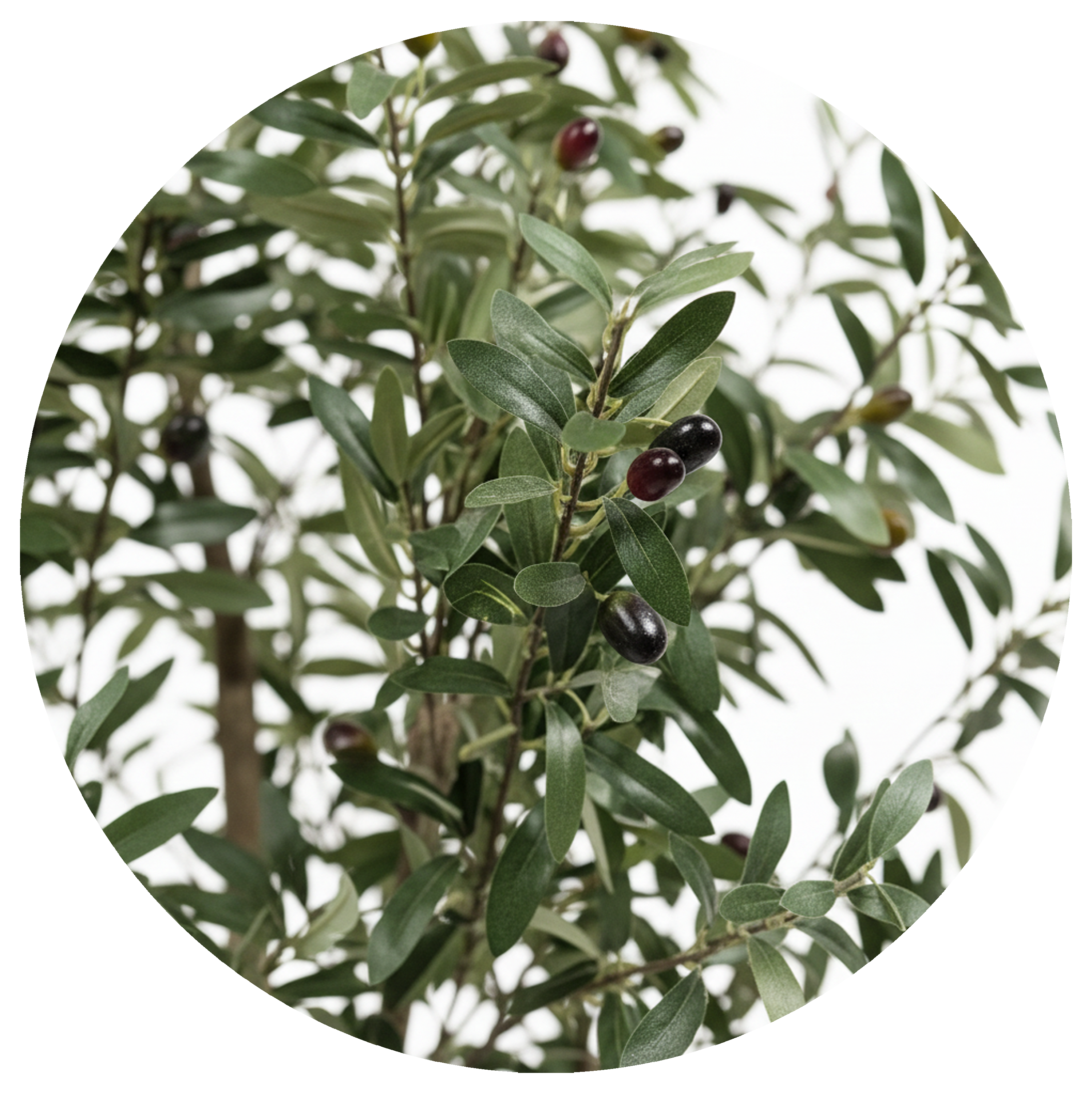 Árvore artificial Oliveira 160 cm Sinder - 3