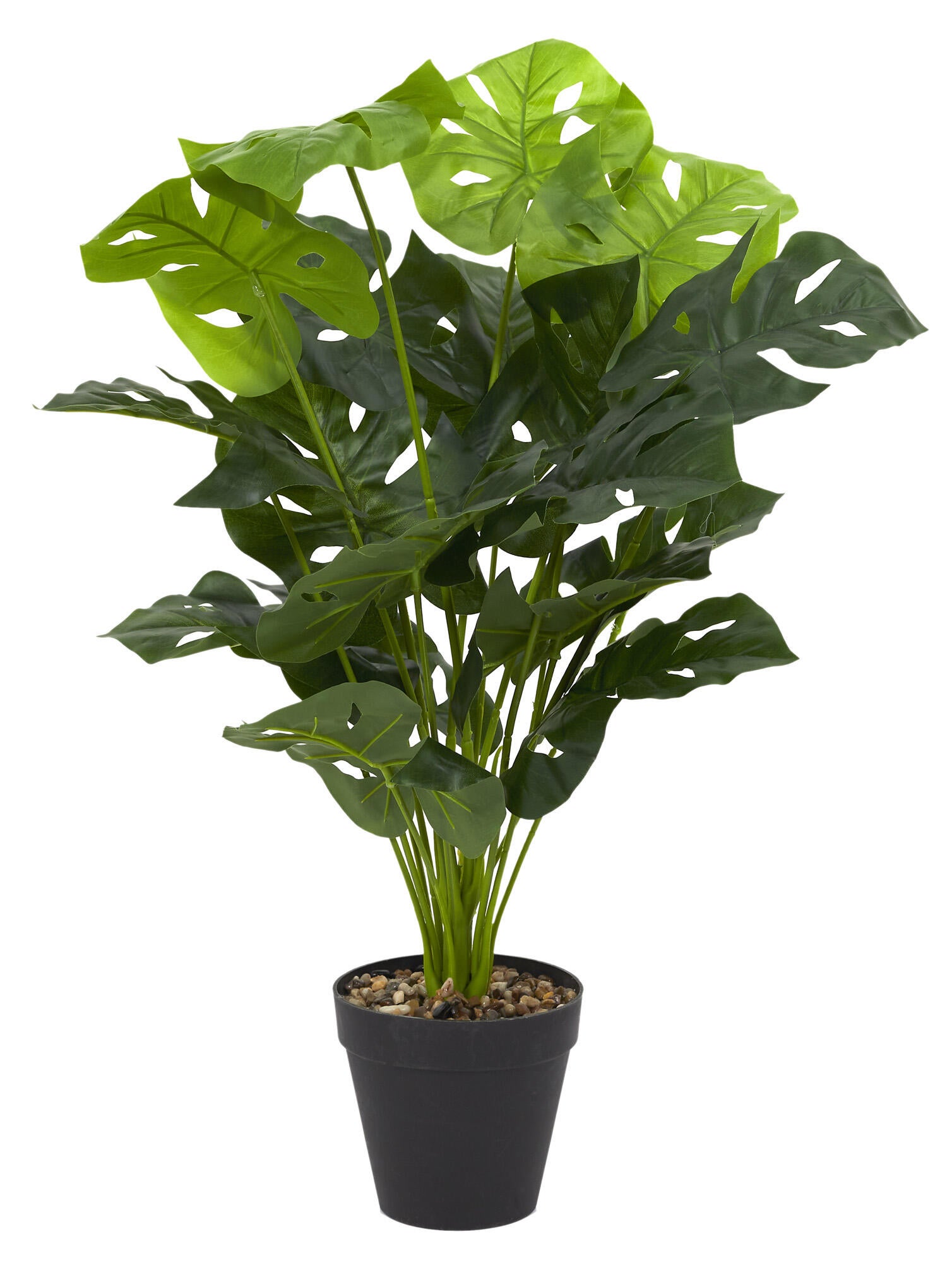 Planta artificial de costilla de adán de 70 cm