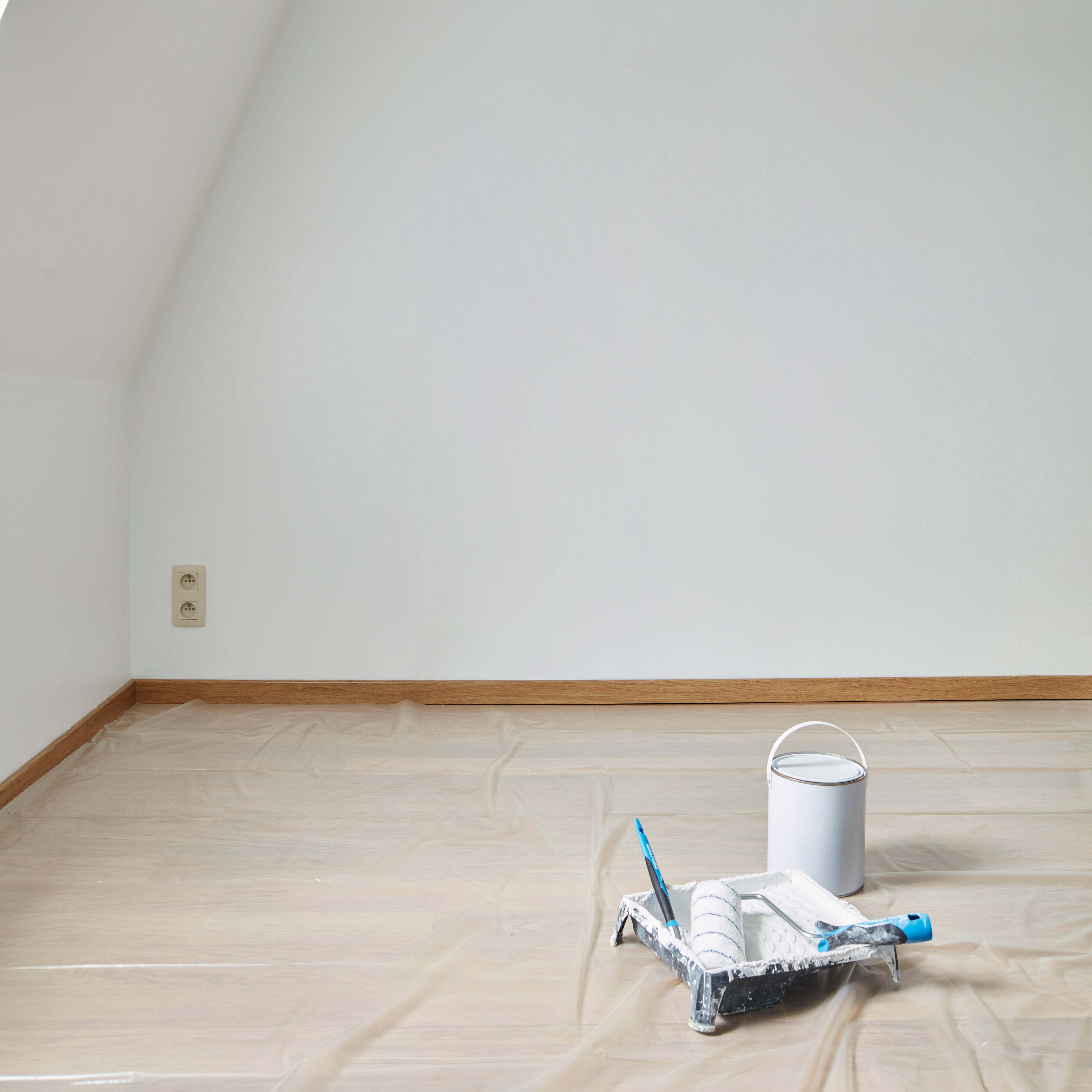 Rouleau de bâche de protection DEXTER, L.15 x l.3 m - 3