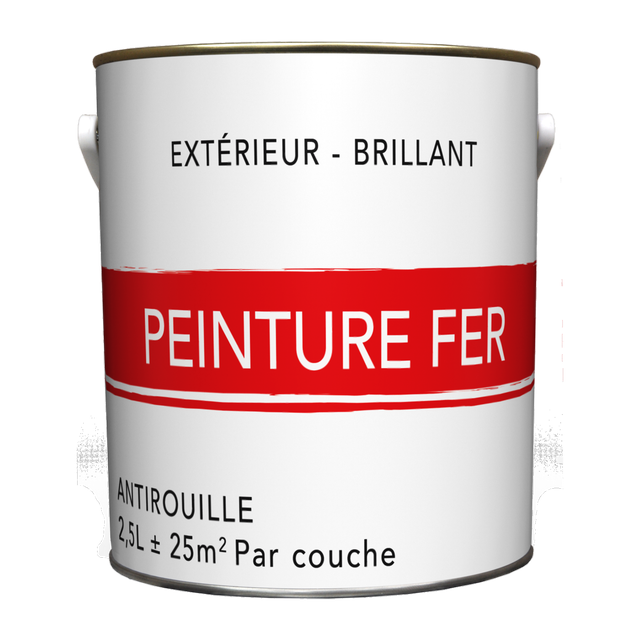 Peinture extérieure fer Premier prix noir brillant 2.5l