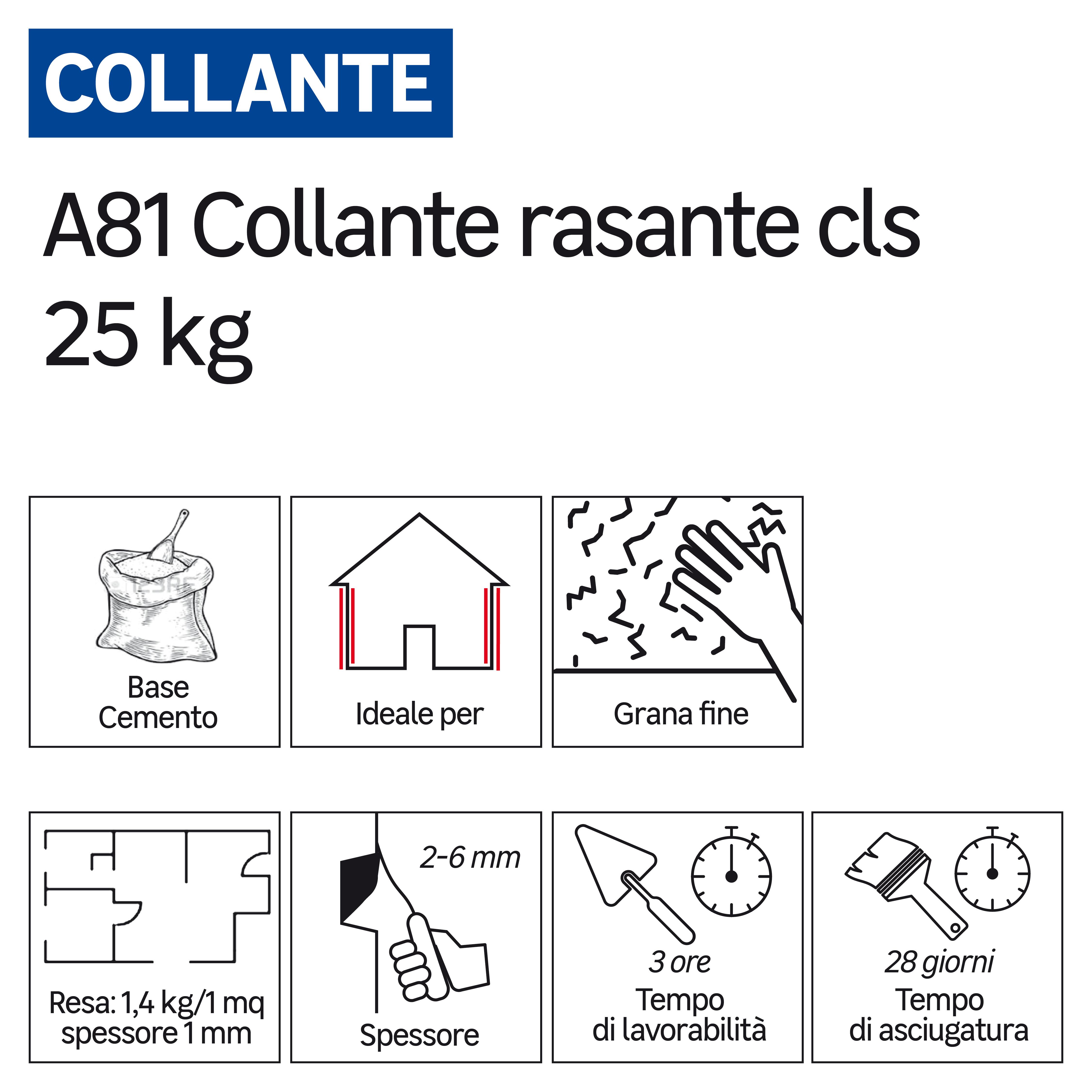 Colla per piastrelle in polvere FASSA BORTOLO A81 25 kg bianco - 3