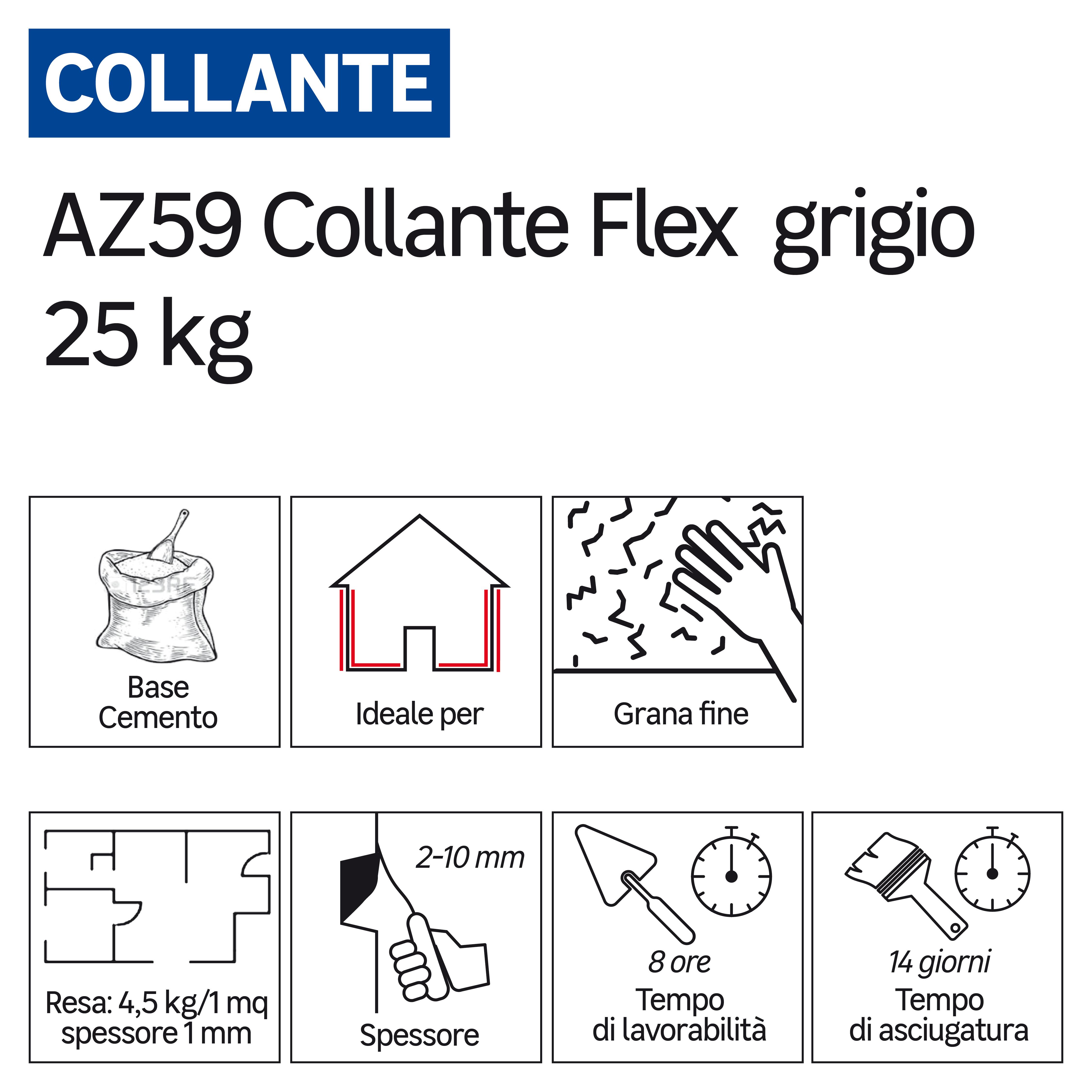 Colla per piastrelle in polvere FASSA BORTOLO AZ59 FLEX 25 kg grigio C2TES1 - 2