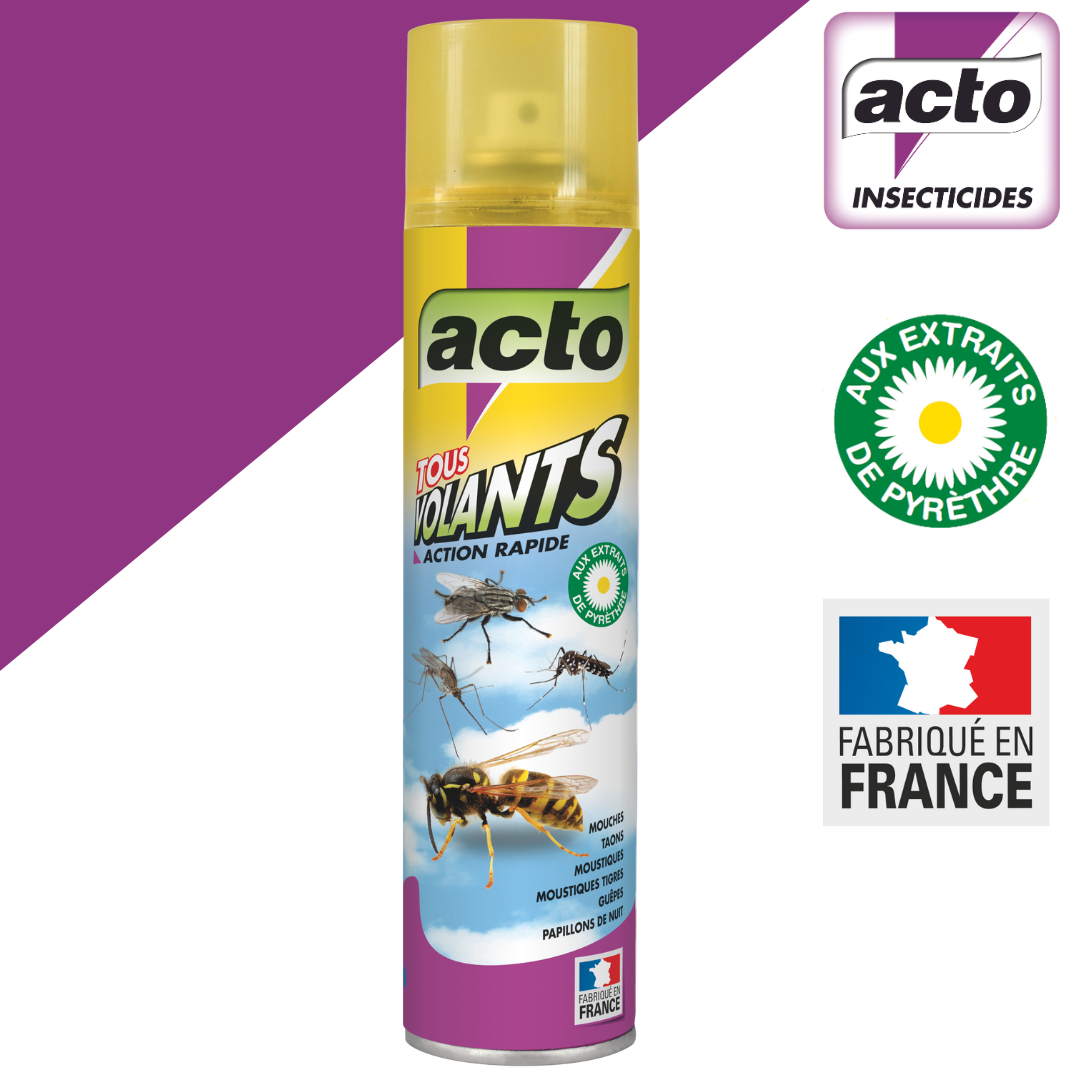 Aérosol insecticide aérosol insectes ACTO, 400 ml | Leroy Merlin