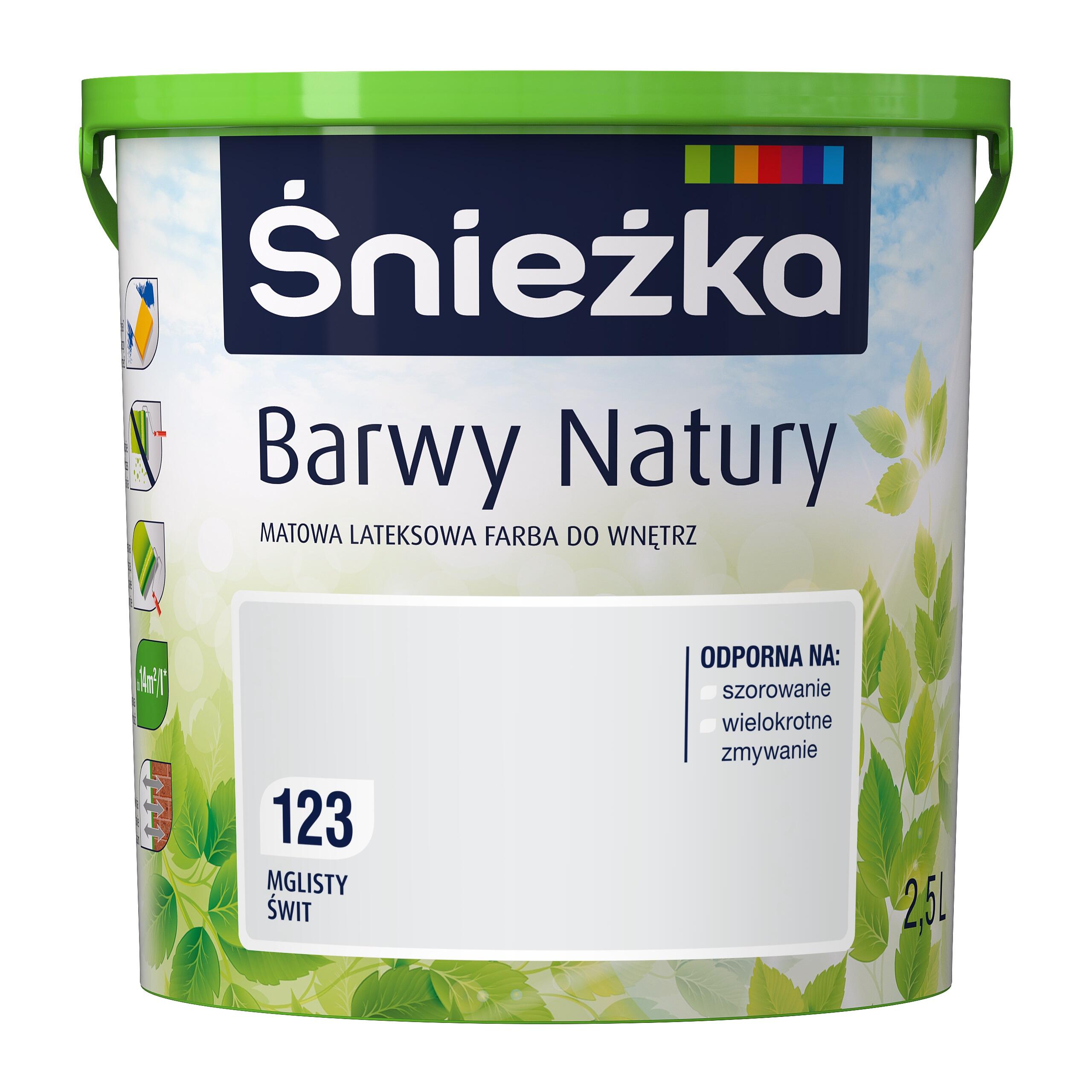 mglisty świt