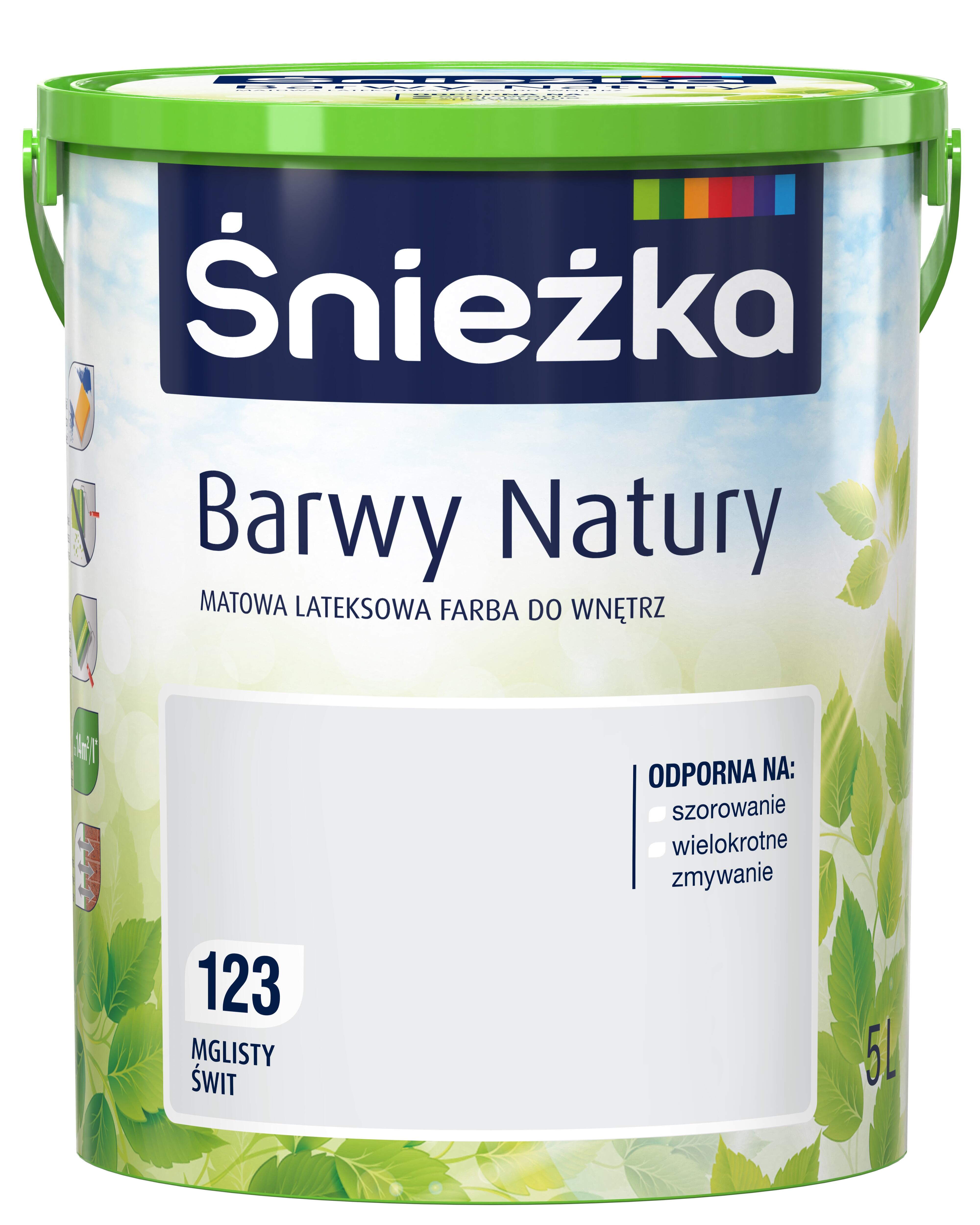 mglisty świt