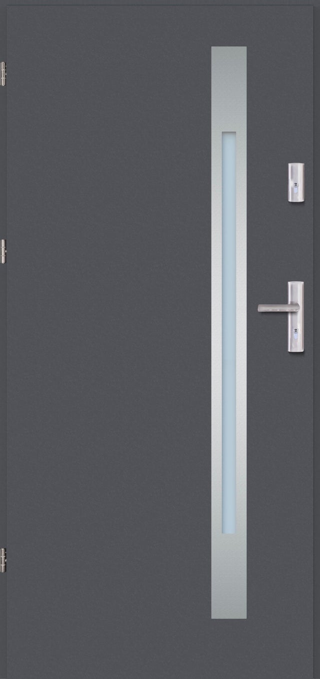 Drzwi wejściowe Toledo Inox 90 cm, lewe, antracyt