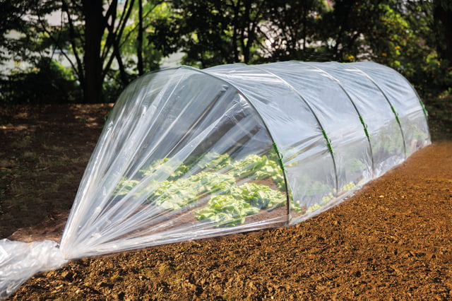 Film de forçage pour potager GEOLIA 2x5 m