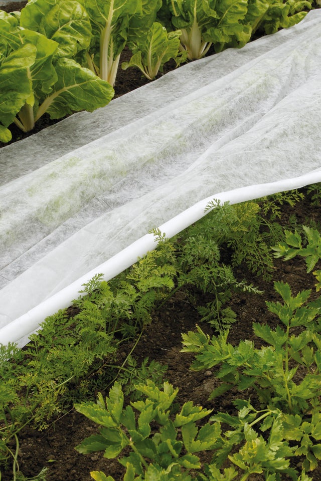Voile de croissance GEOLIA, 1.6 x 10 m