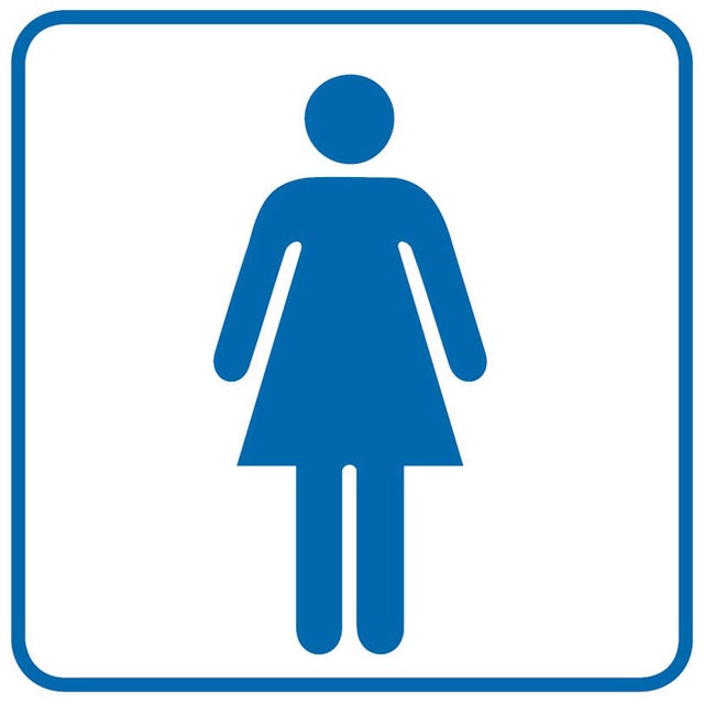 Znak informacyjny WC DAMSKIE