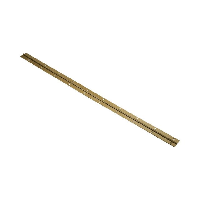 Zawias taśmowy 31mm dł.0,6m (złoty)