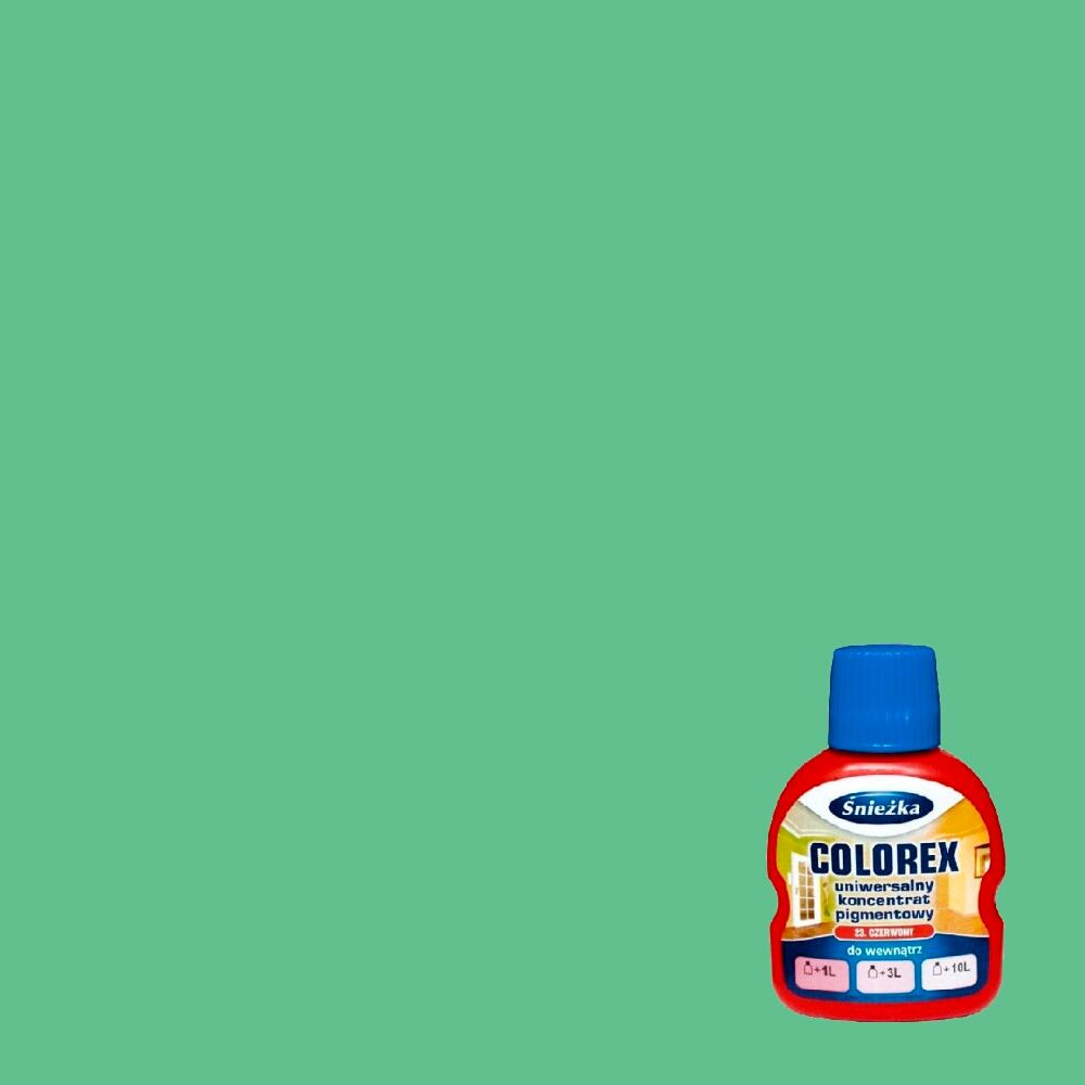 Pigment do kolorowania Śnieżka Colorex zielony wiosenny 100 ml