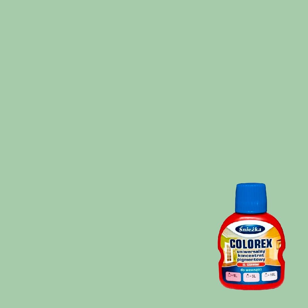 Pigment do kolorowania Śnieżka Colorex zielony 100 ml - 2
