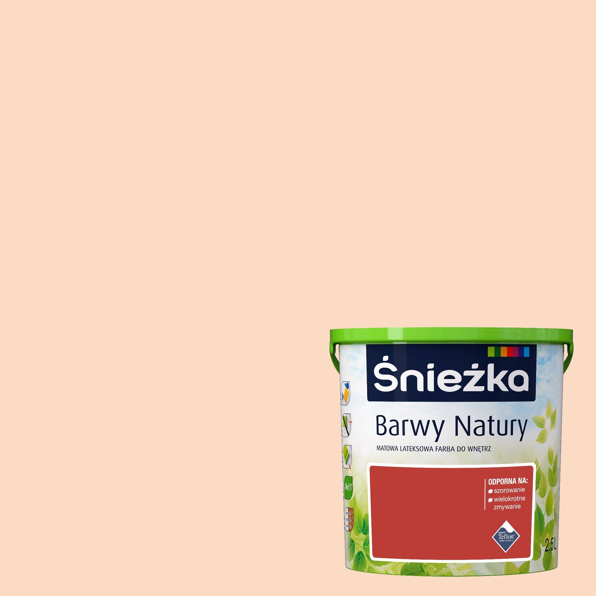 Farba Barwy Natury letni poranek 2,5l